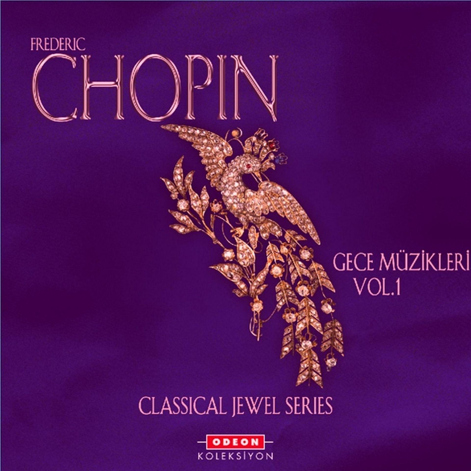 Постер альбома Chopin: Gece Müzikleri 1