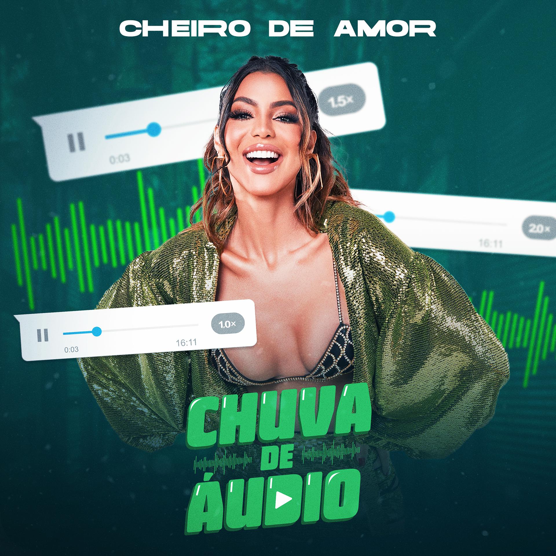Постер альбома Chuva de Áudio
