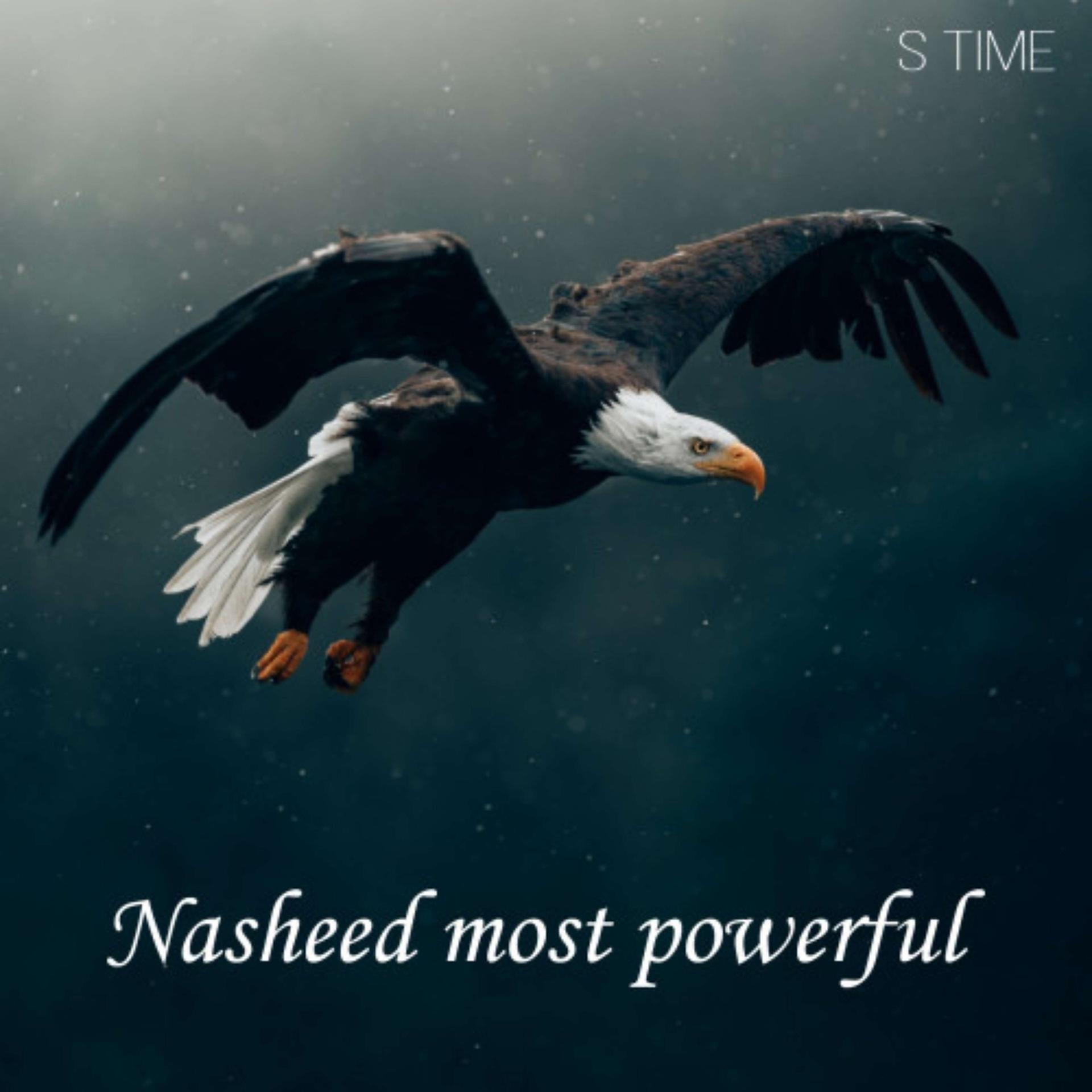 Постер альбома Nasheed most powerful