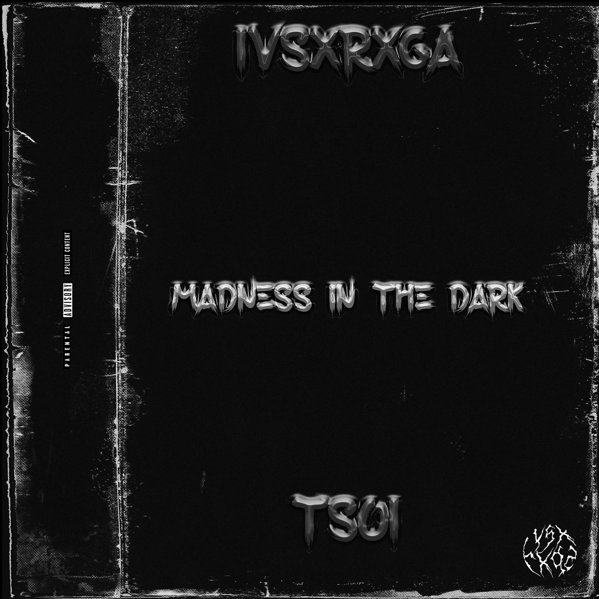 Постер альбома madness in the dark