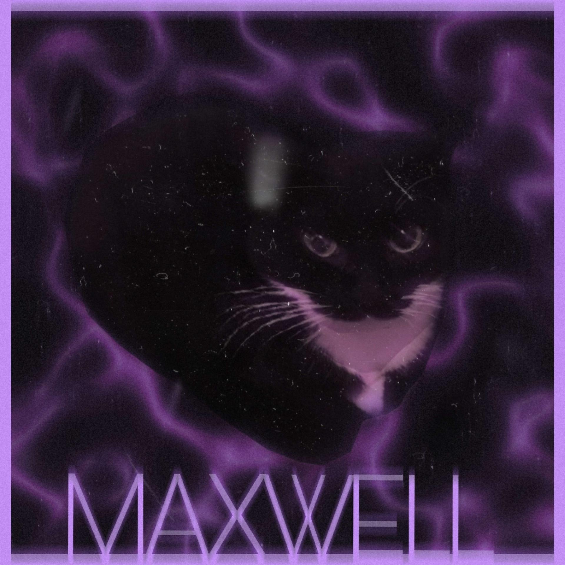 Постер альбома MAXWELL PHONK
