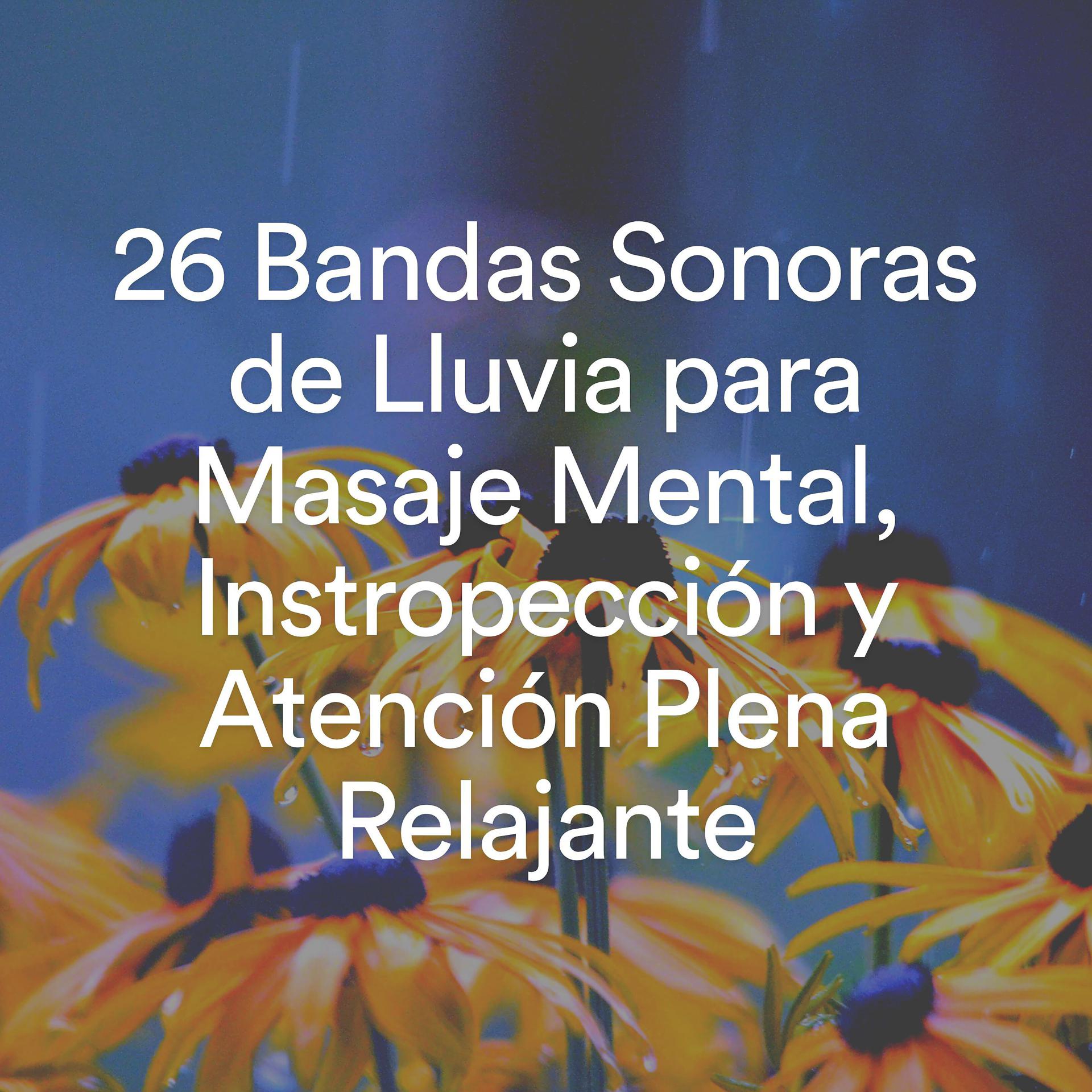 Постер альбома 26 Bandas Sonoras de Lluvia para Masaje Mental, Instropección y Atención Plena Relajante