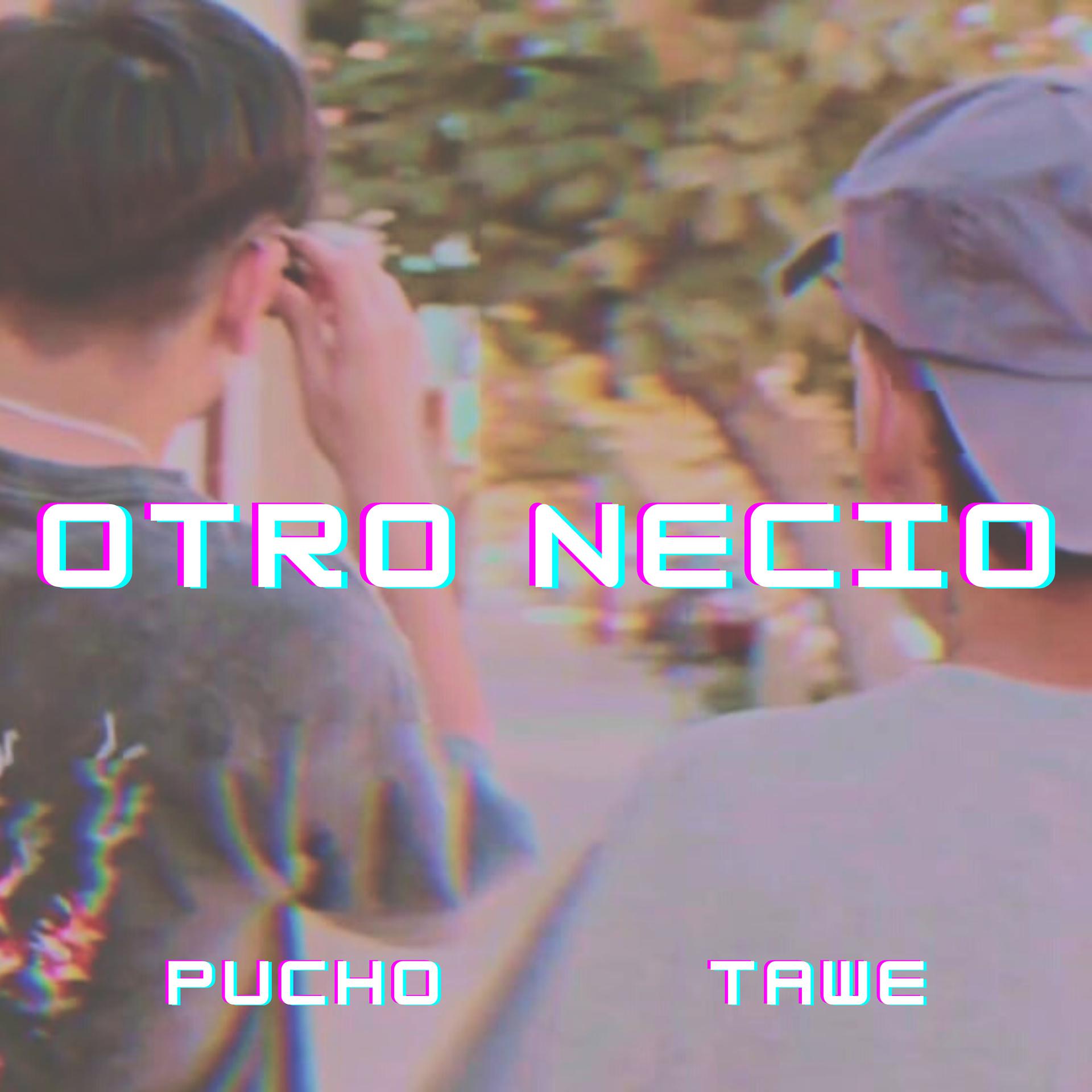 Постер альбома Otro Necio