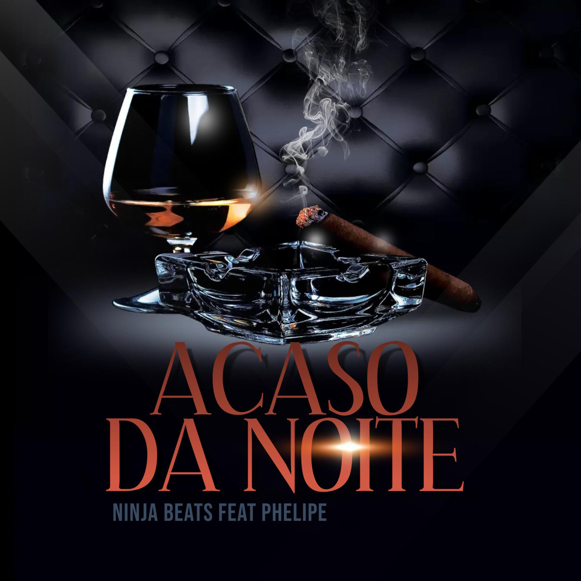 Постер альбома Acaso da Noite