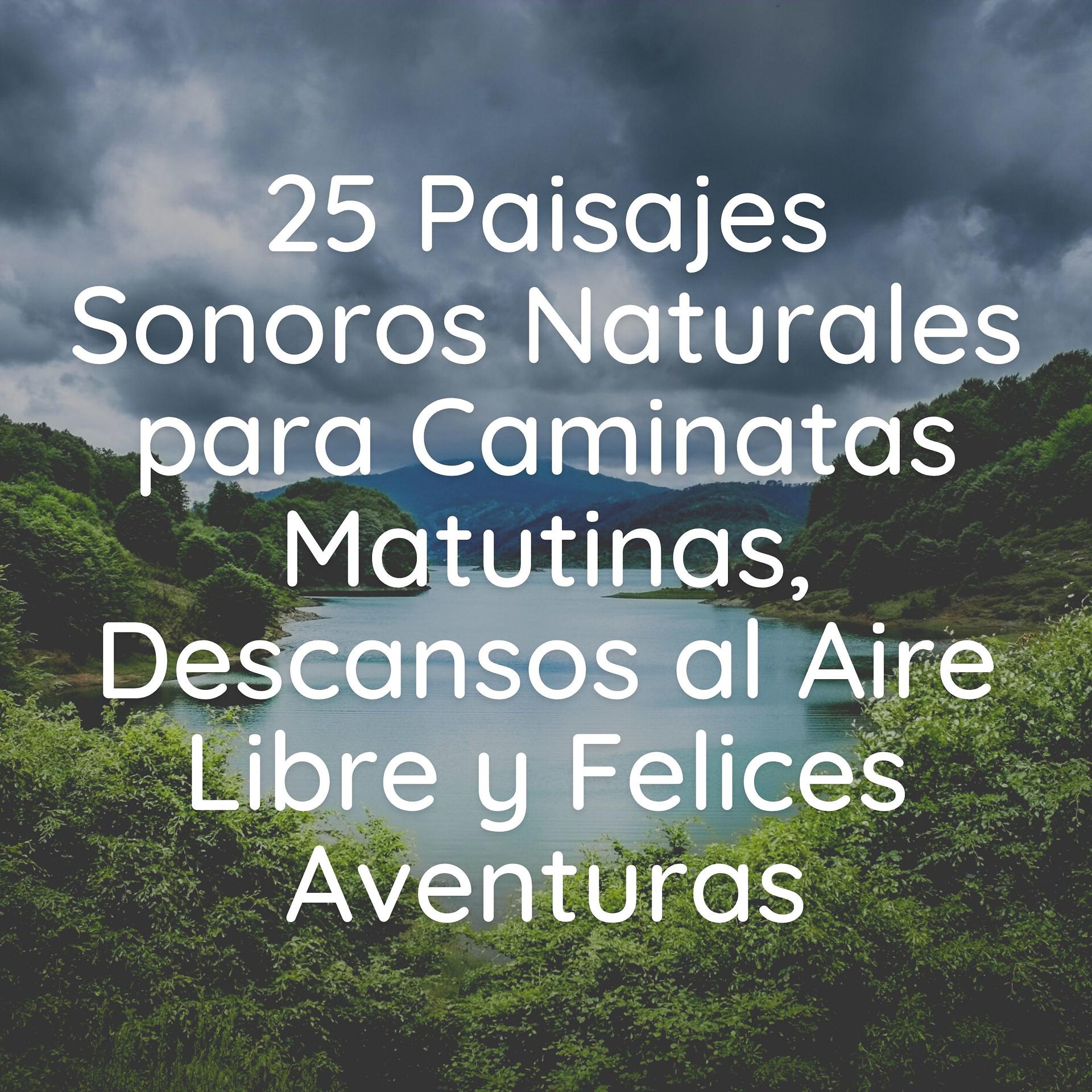 Постер альбома 25 Paisajes Sonoros Naturales para Caminatas Matutinas, Descansos al Aire Libre y Felices Aventuras