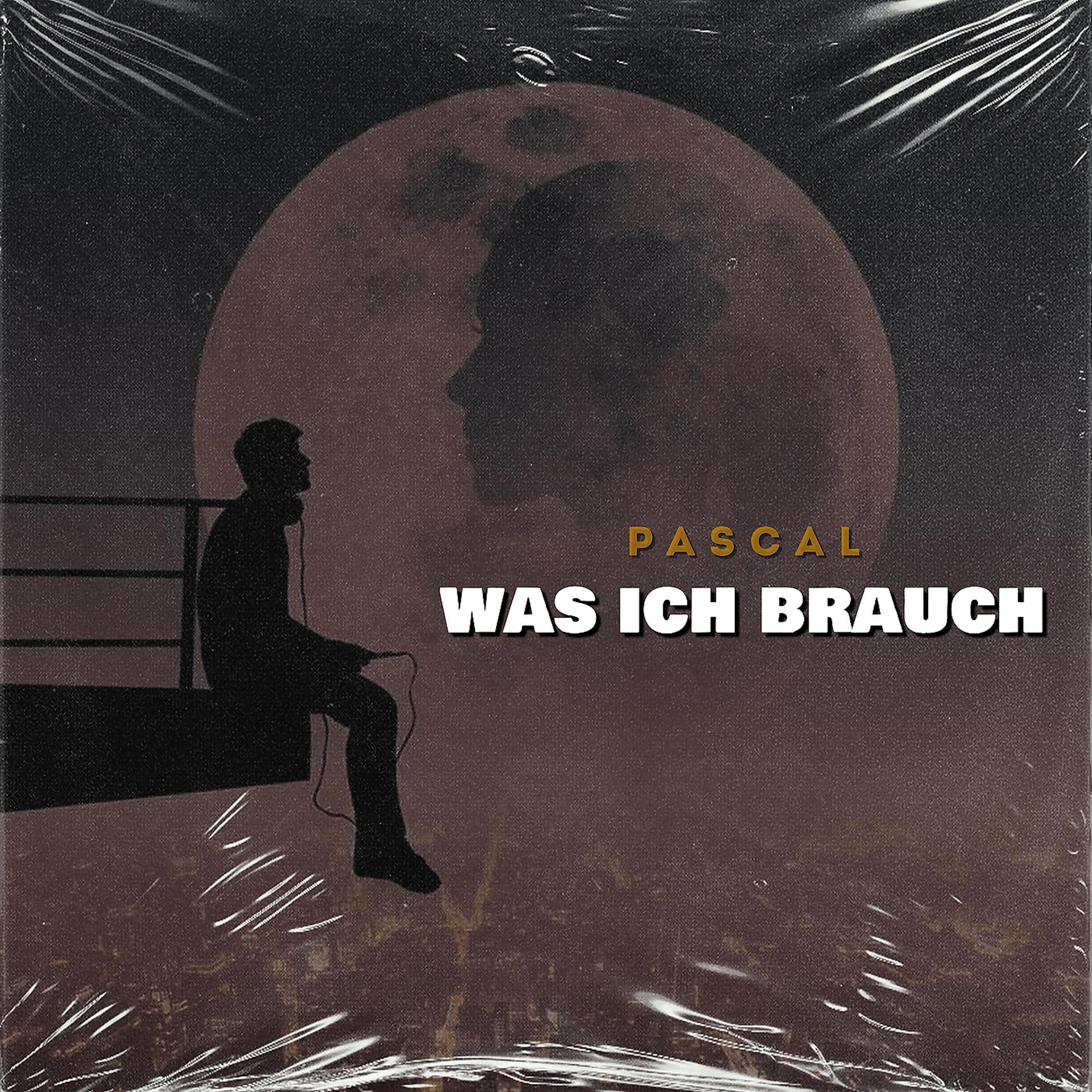 Постер альбома Was Ich Brauch