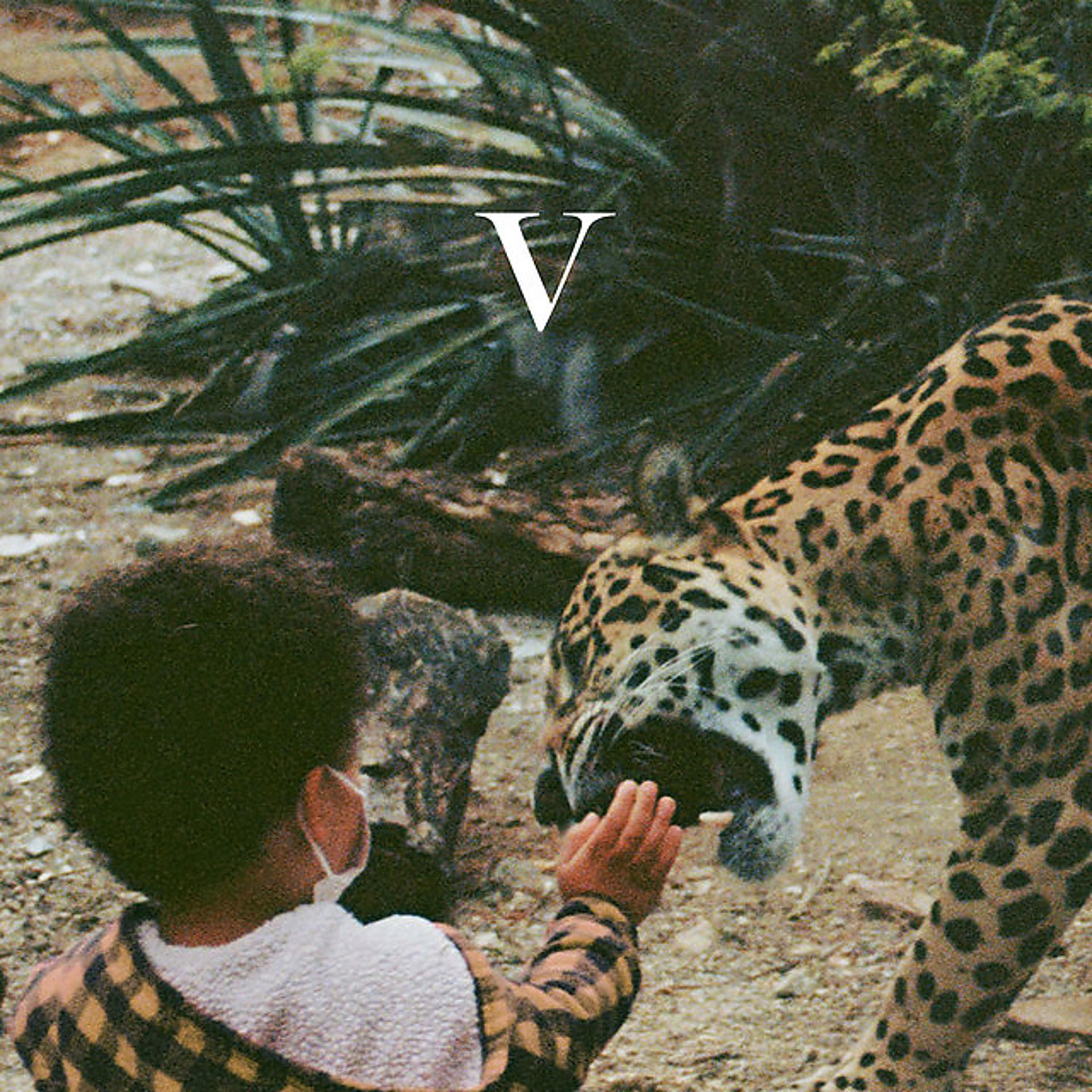 Постер альбома V