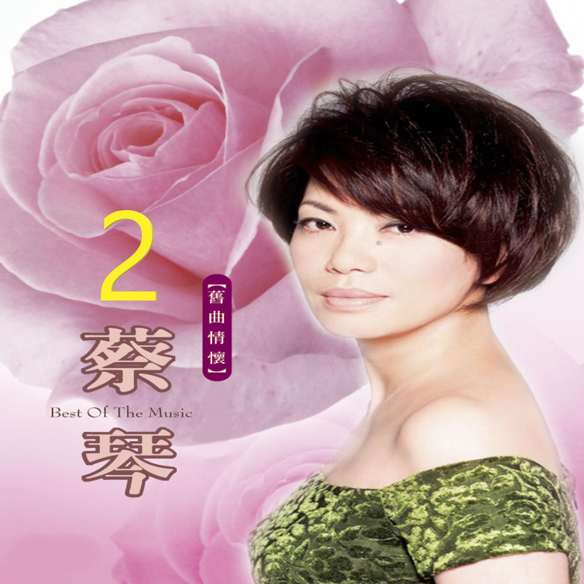 Постер альбома 舊曲情懷 2