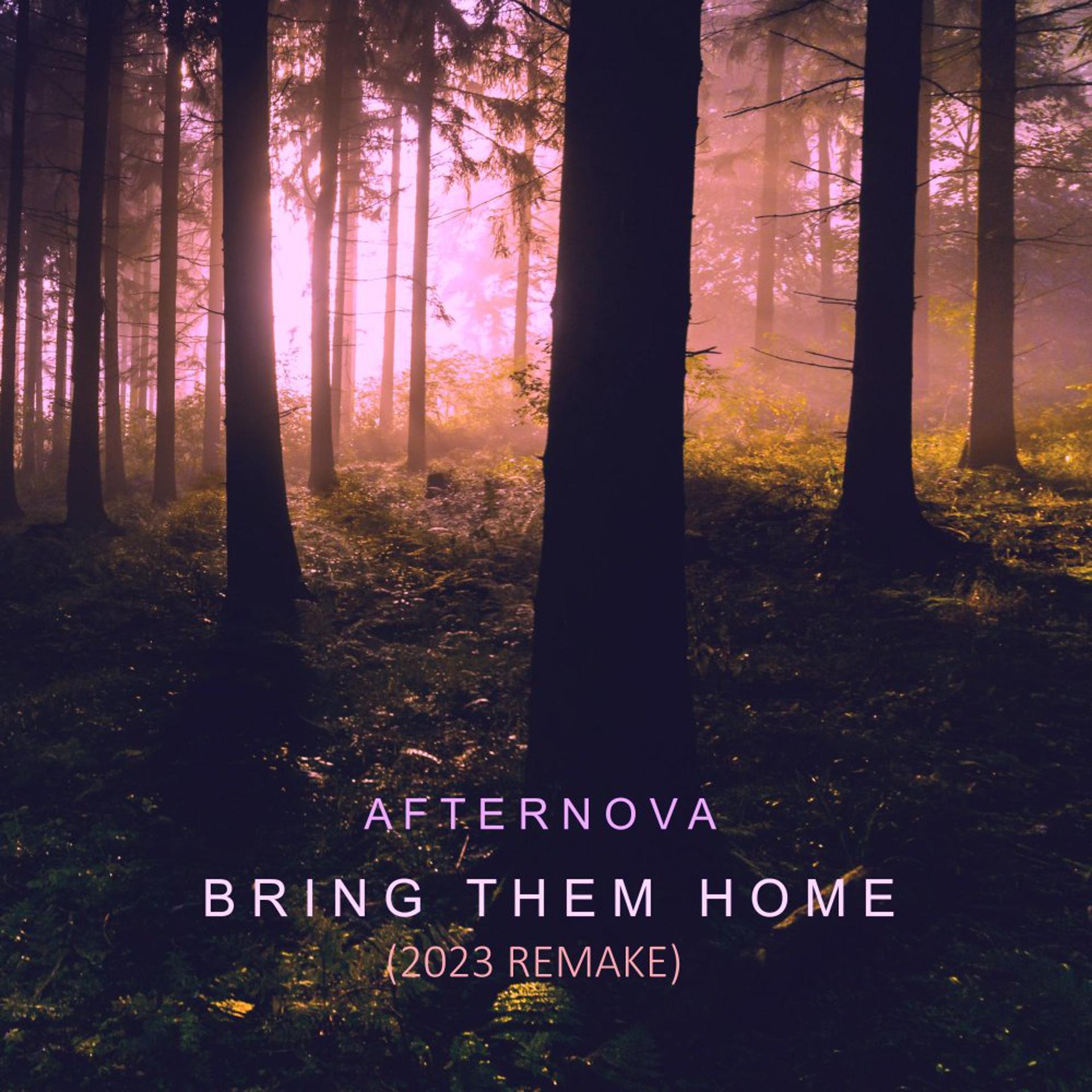 Постер альбома Bring Them Home (2023 Remake)