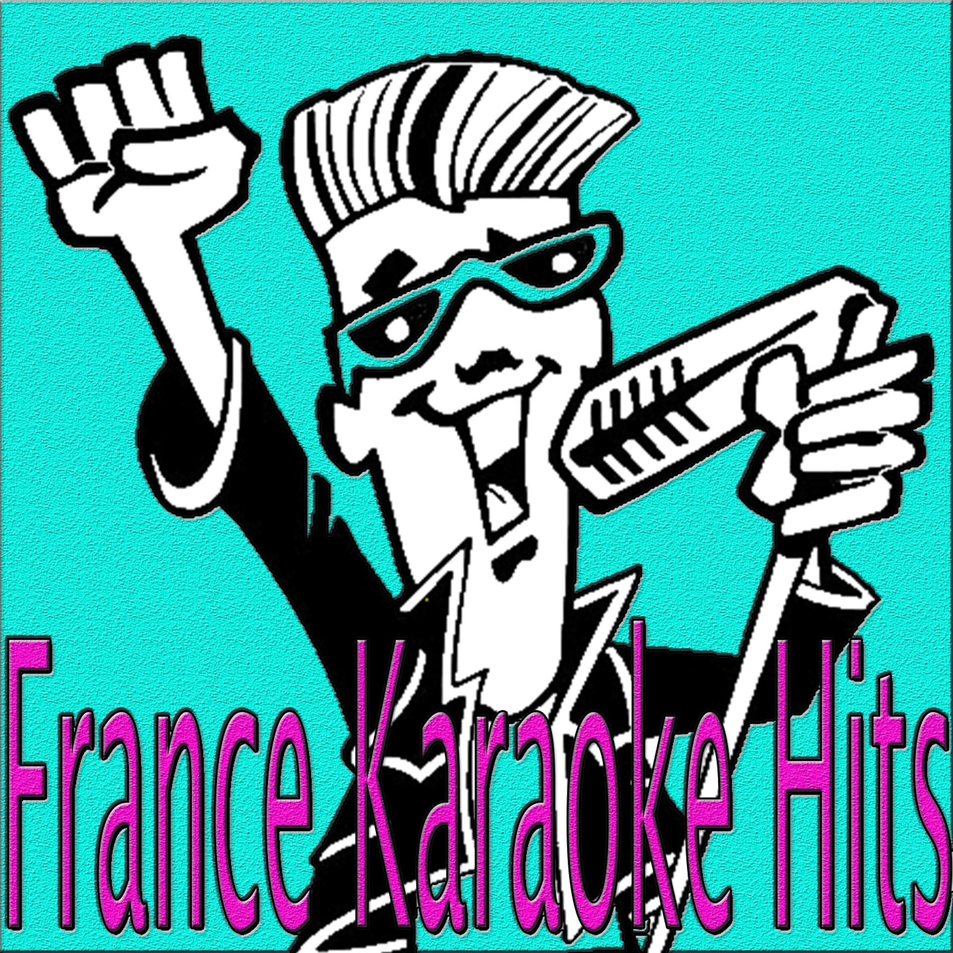 Постер альбома France Karaoke Hits