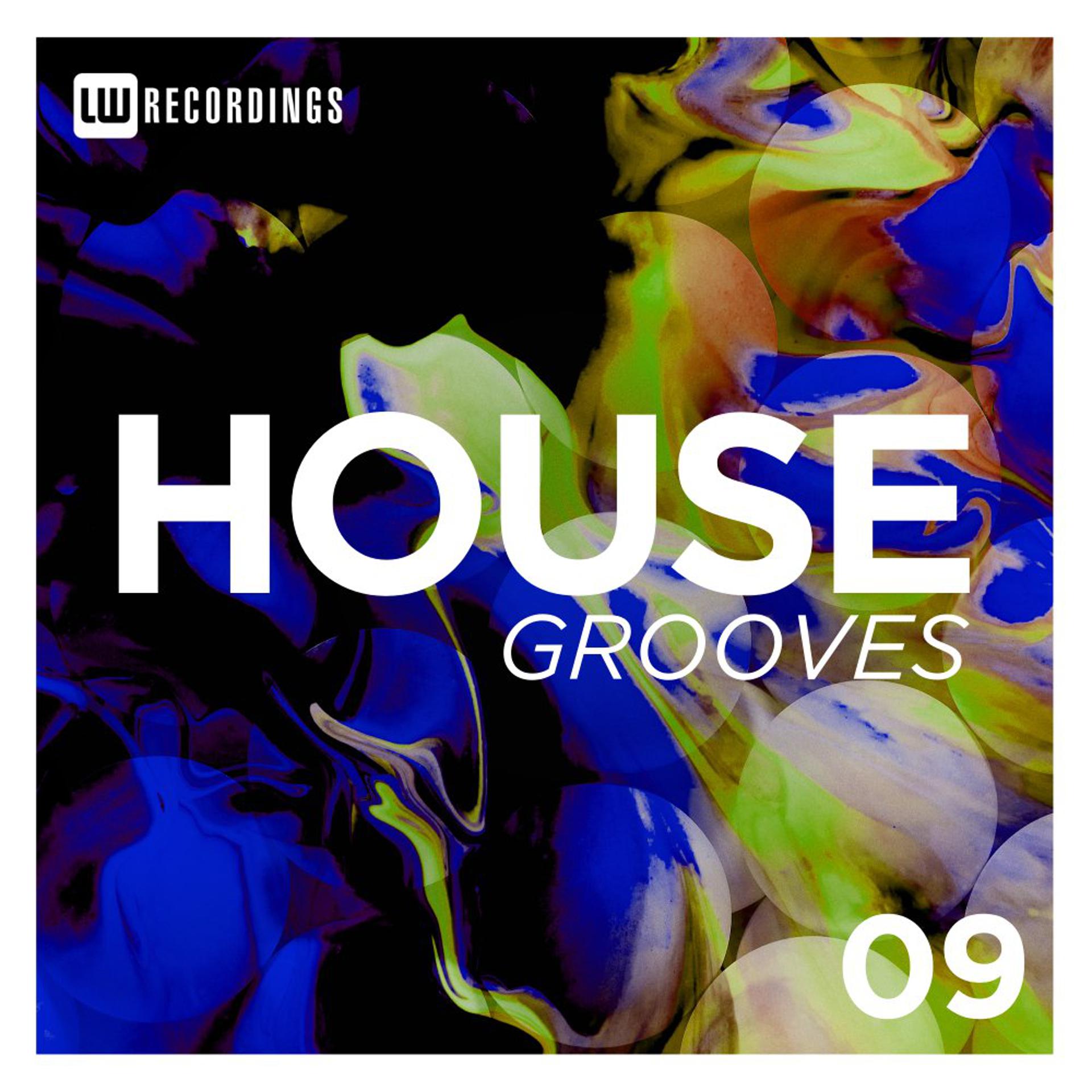 Постер альбома House Grooves, Vol. 09