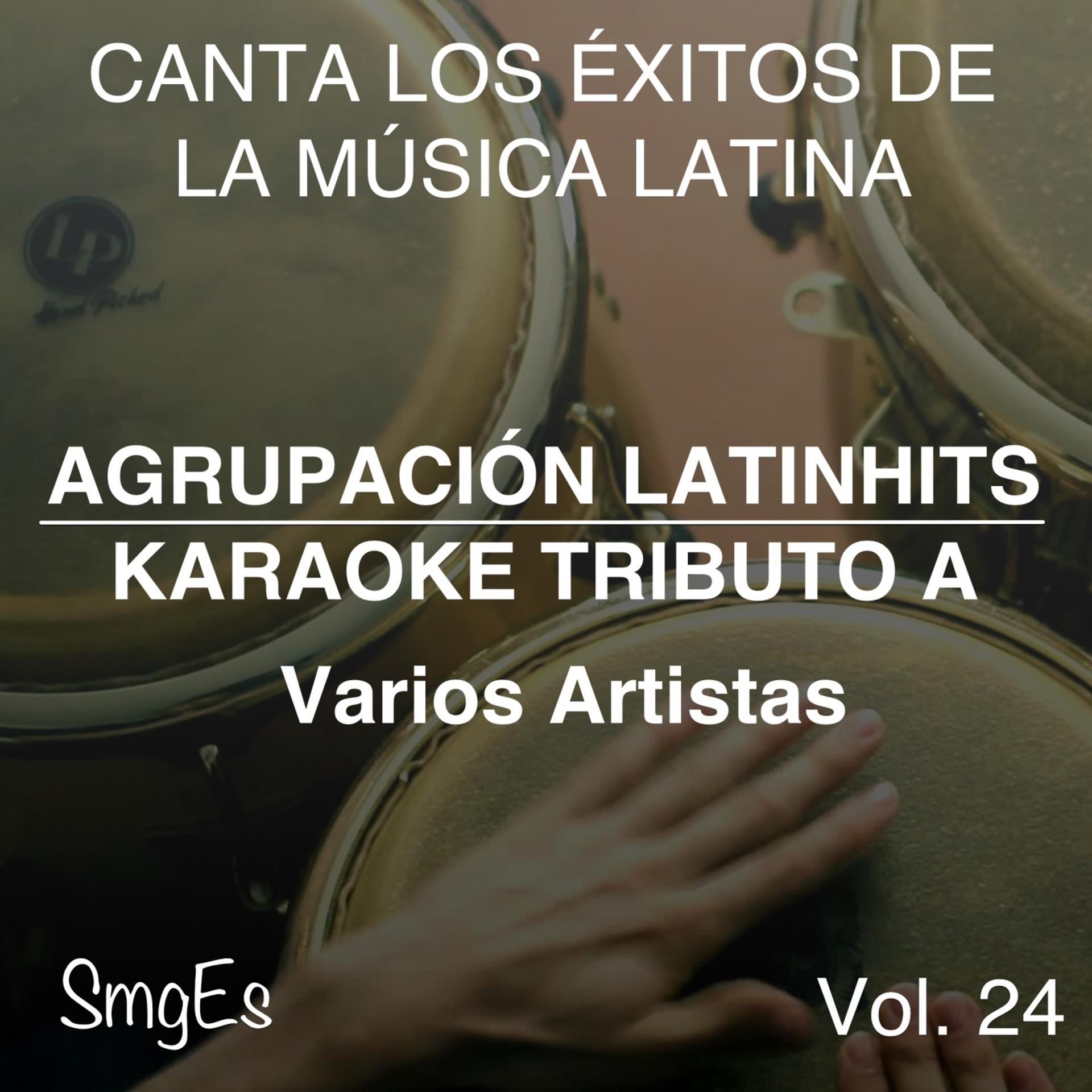 Постер альбома Instrumental Karaoke Series: Varios Artistas, Vol. 24