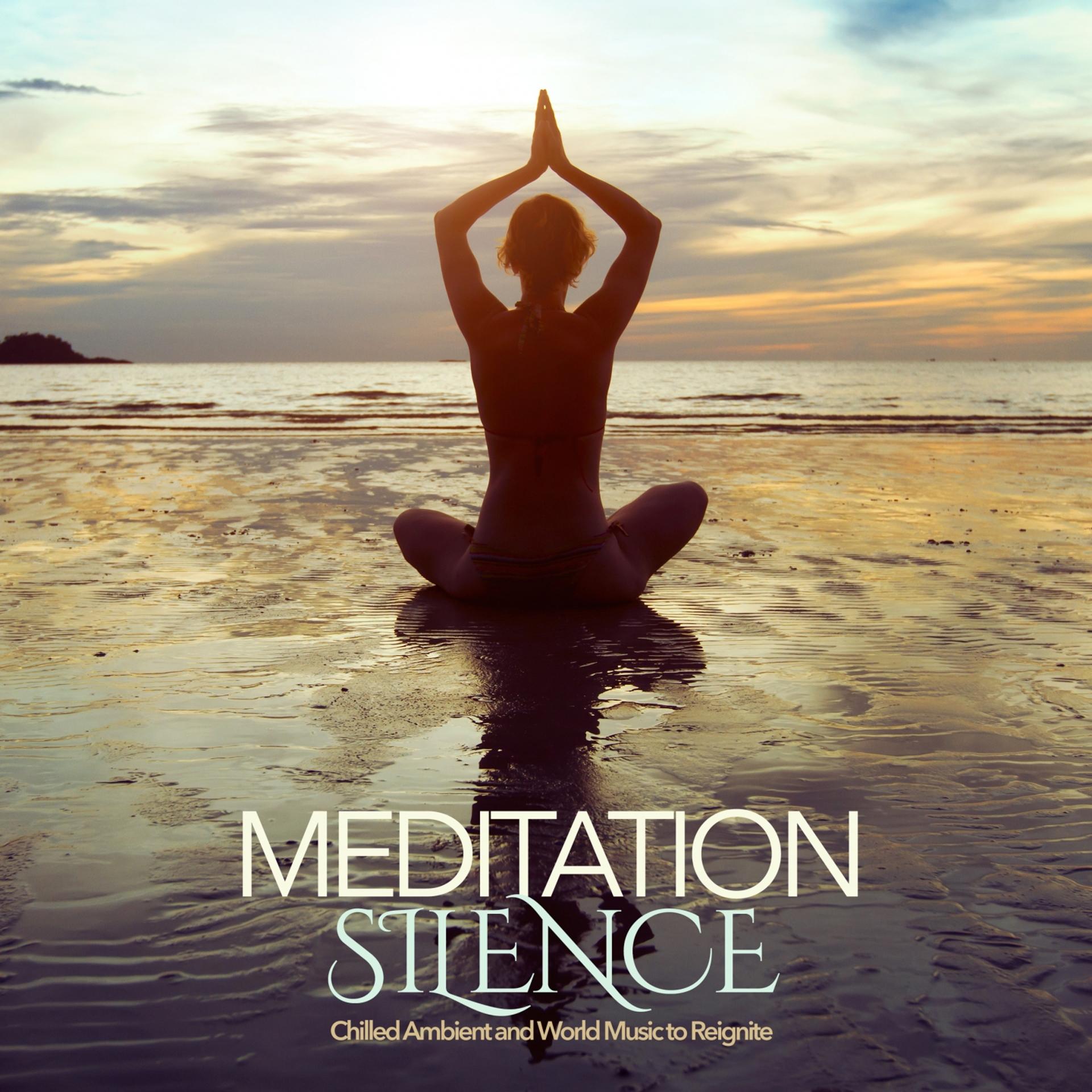 Постер альбома Meditation Silence