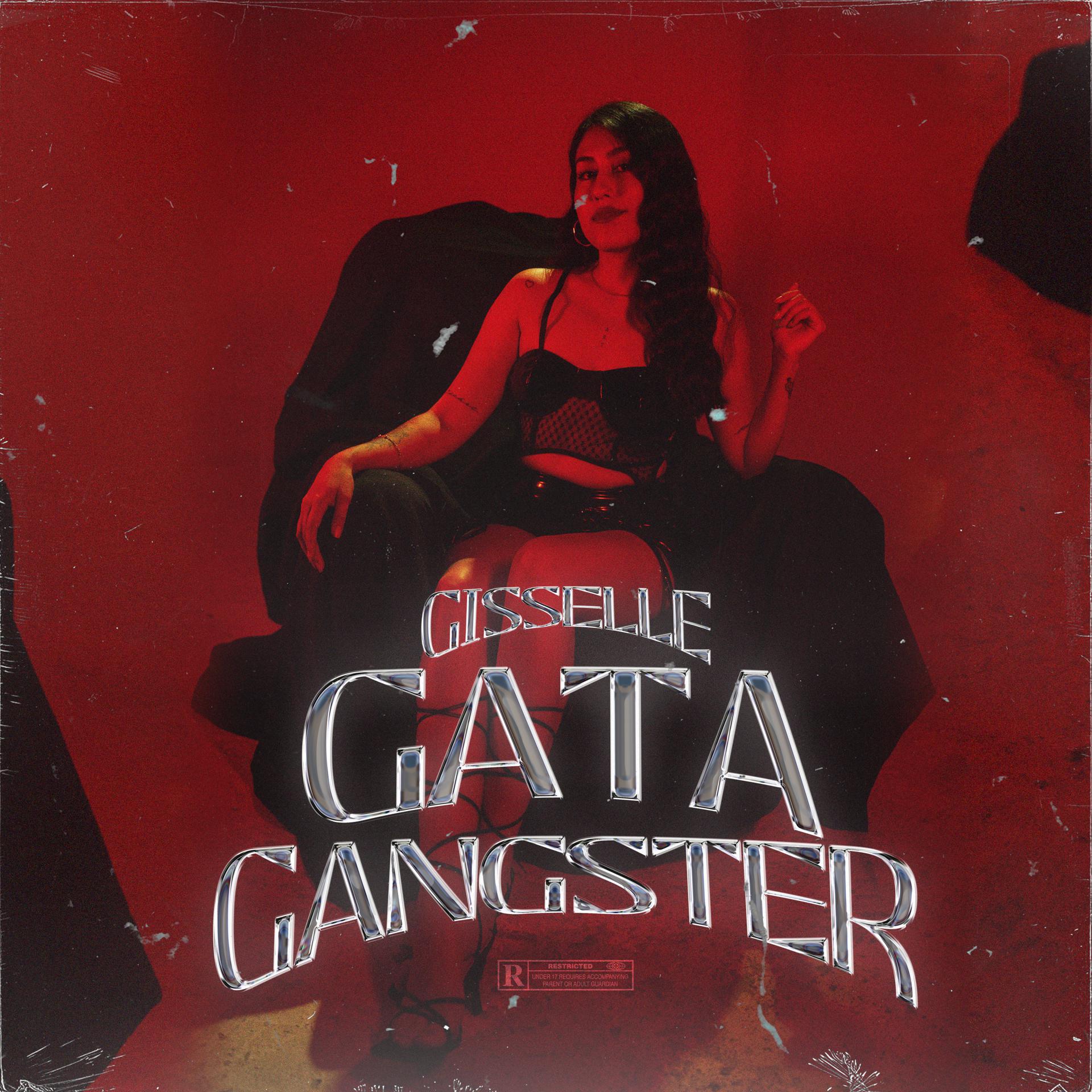 Постер альбома Gata Gangster