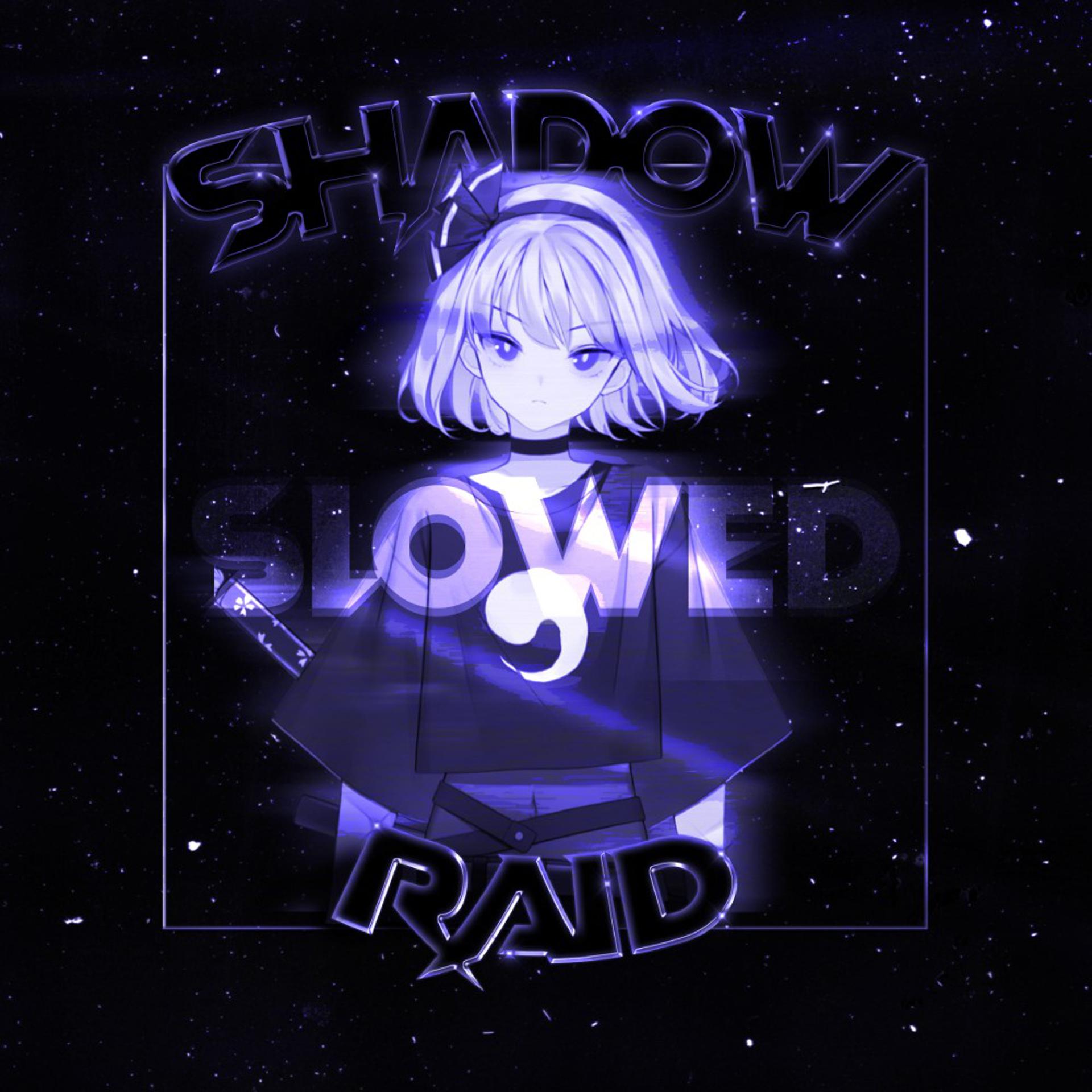 Постер альбома Shadow Raid (Slowed)