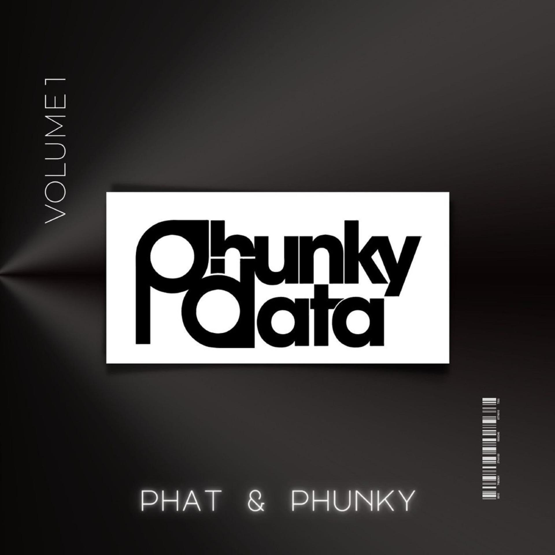 Постер альбома Phat & Phunky, Vol. 1