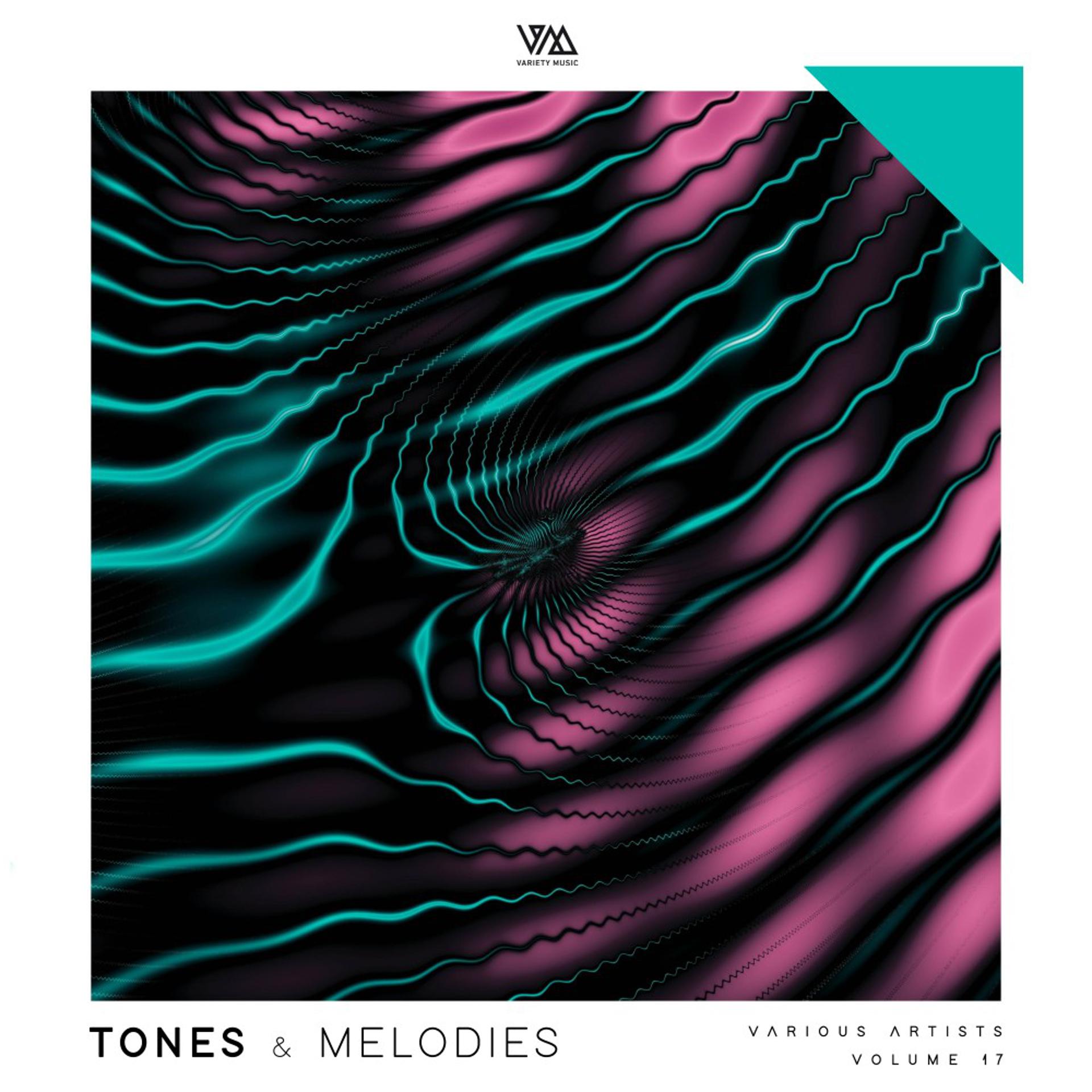 Постер альбома Tones & Melodies, Vol. 17