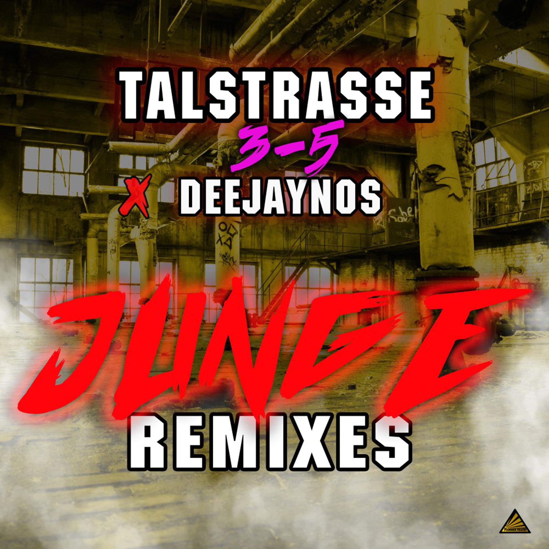 Постер альбома Junge (Remixes)