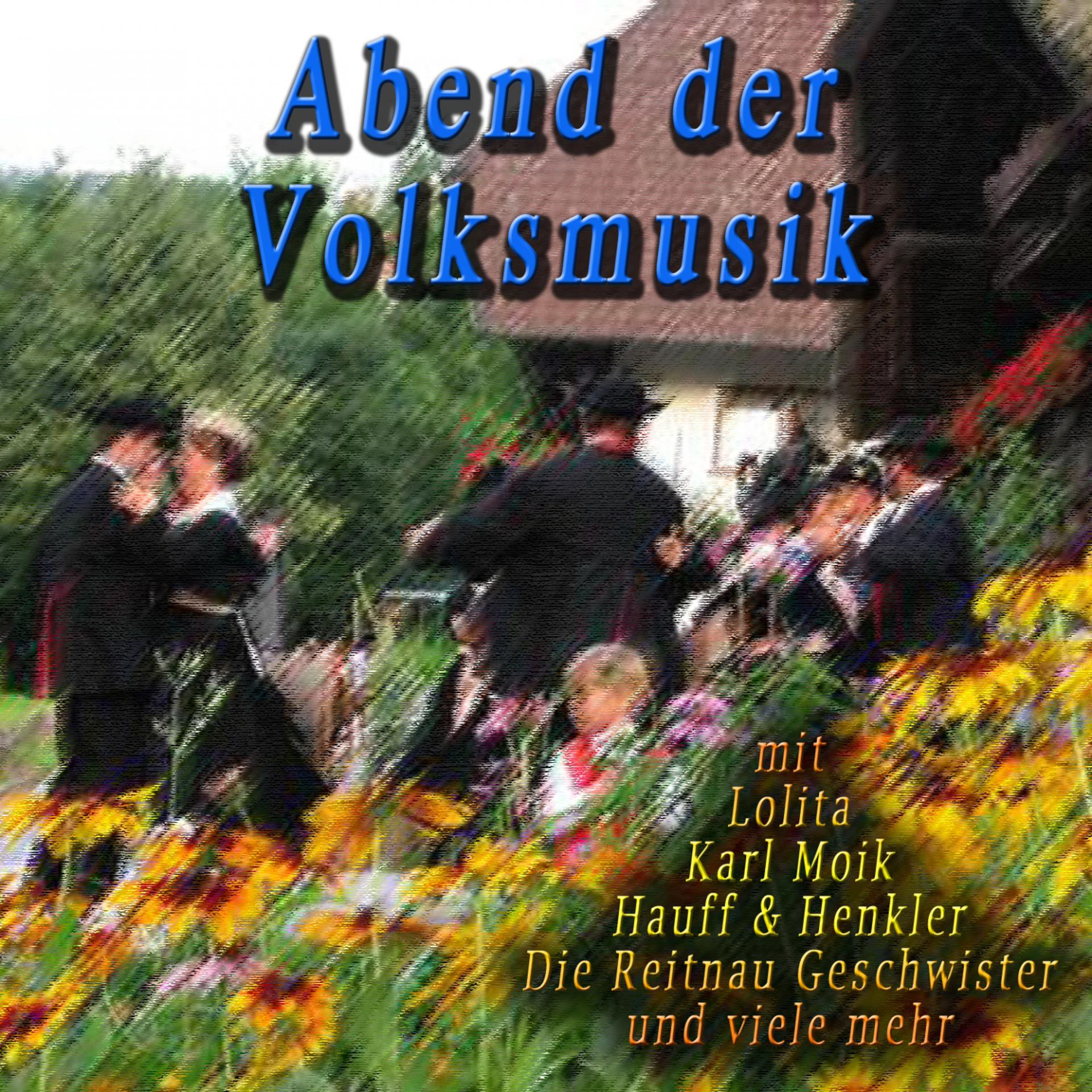 Постер альбома Abend der Volksmusik