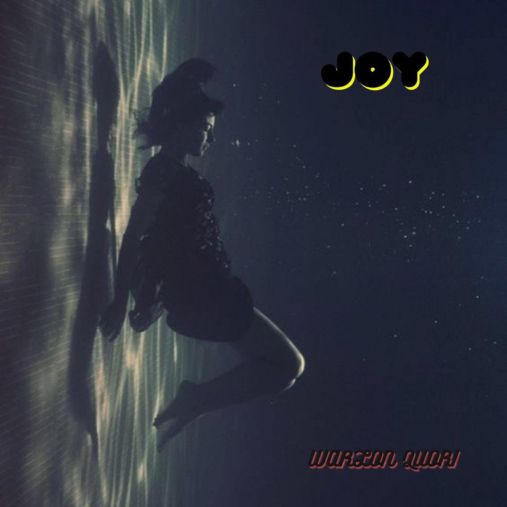 Постер альбома JOY