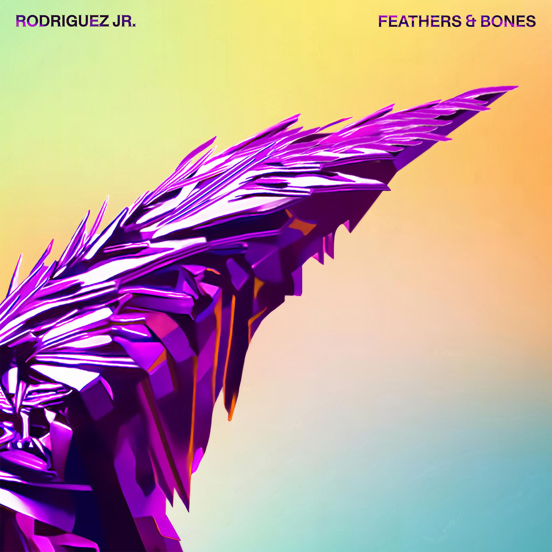Постер альбома Feathers & Bones