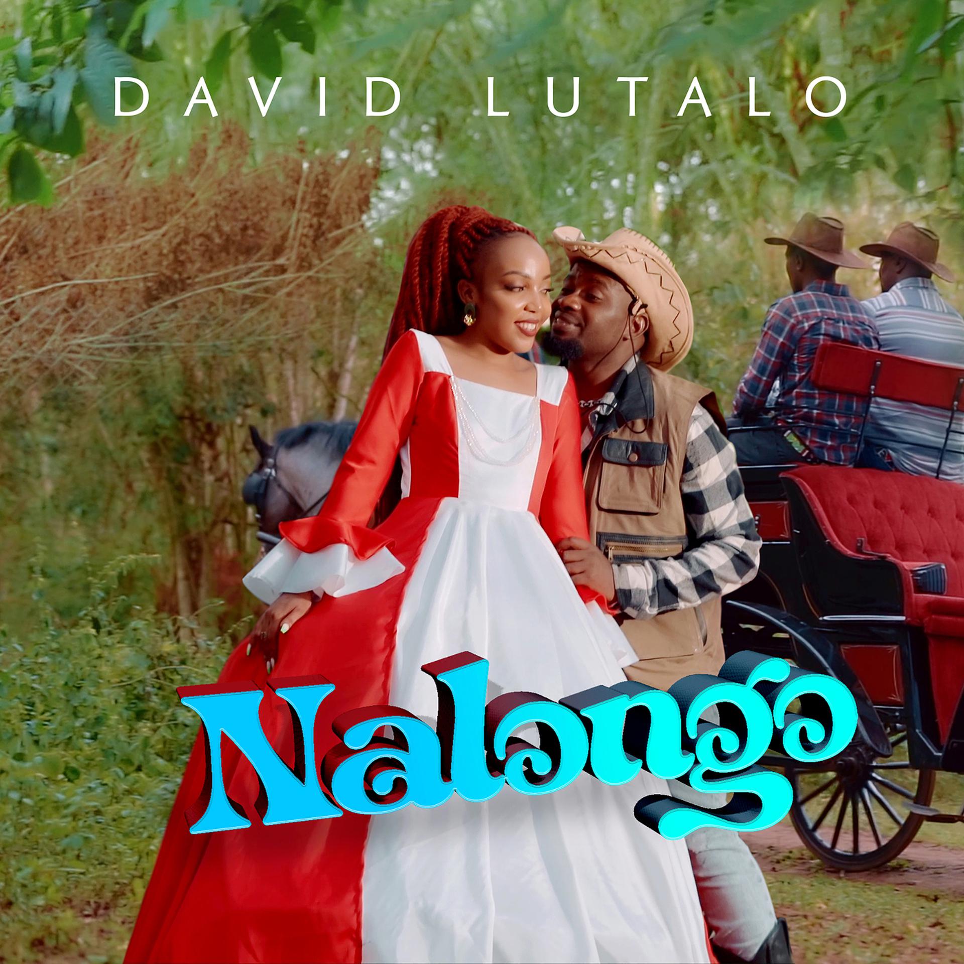 Постер альбома Nalongo