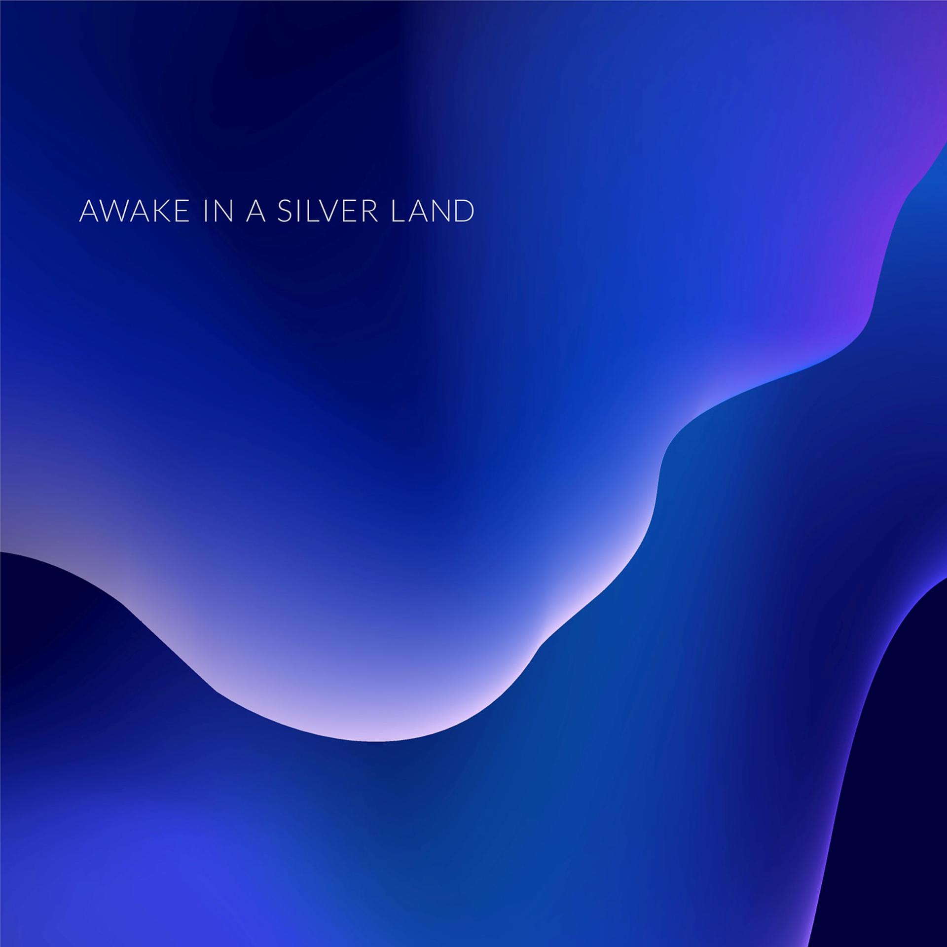Постер альбома Awake in a Silver Land