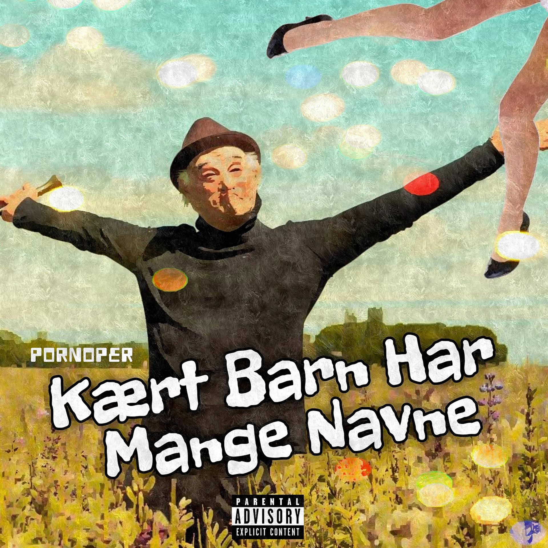 Постер альбома Kært Barn Har Mange Navne