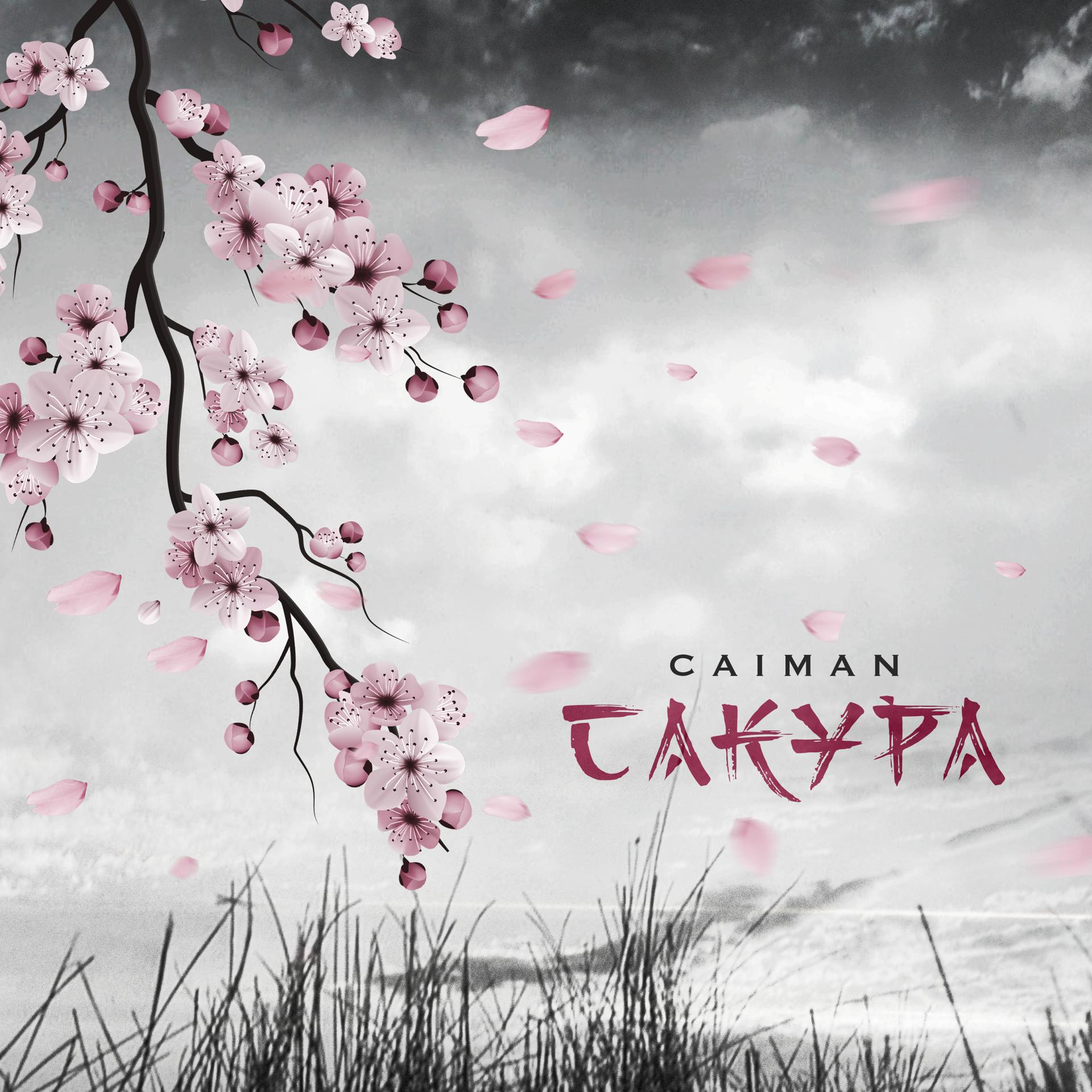 Постер альбома Сакура
