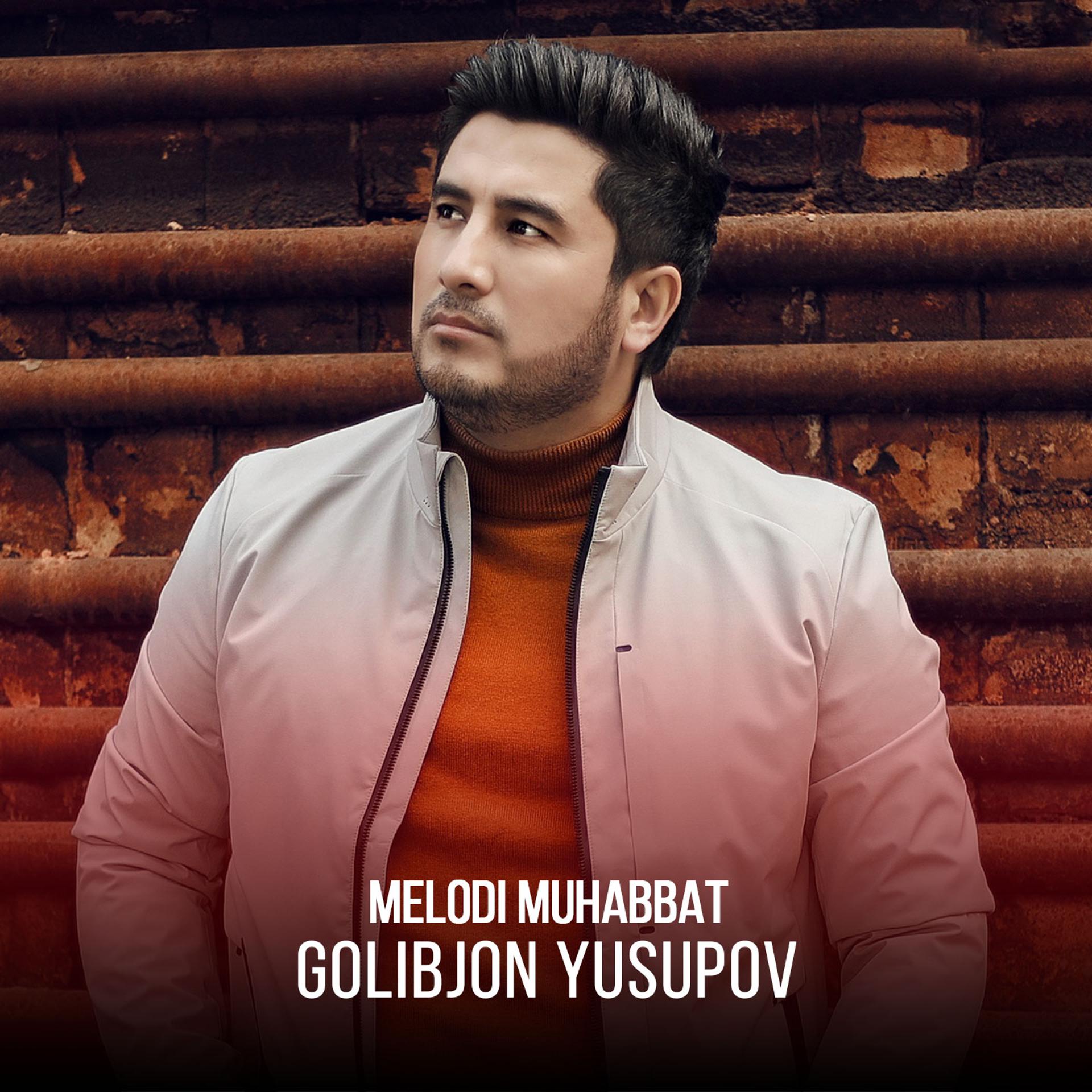 Постер альбома Melodi Muhabbat