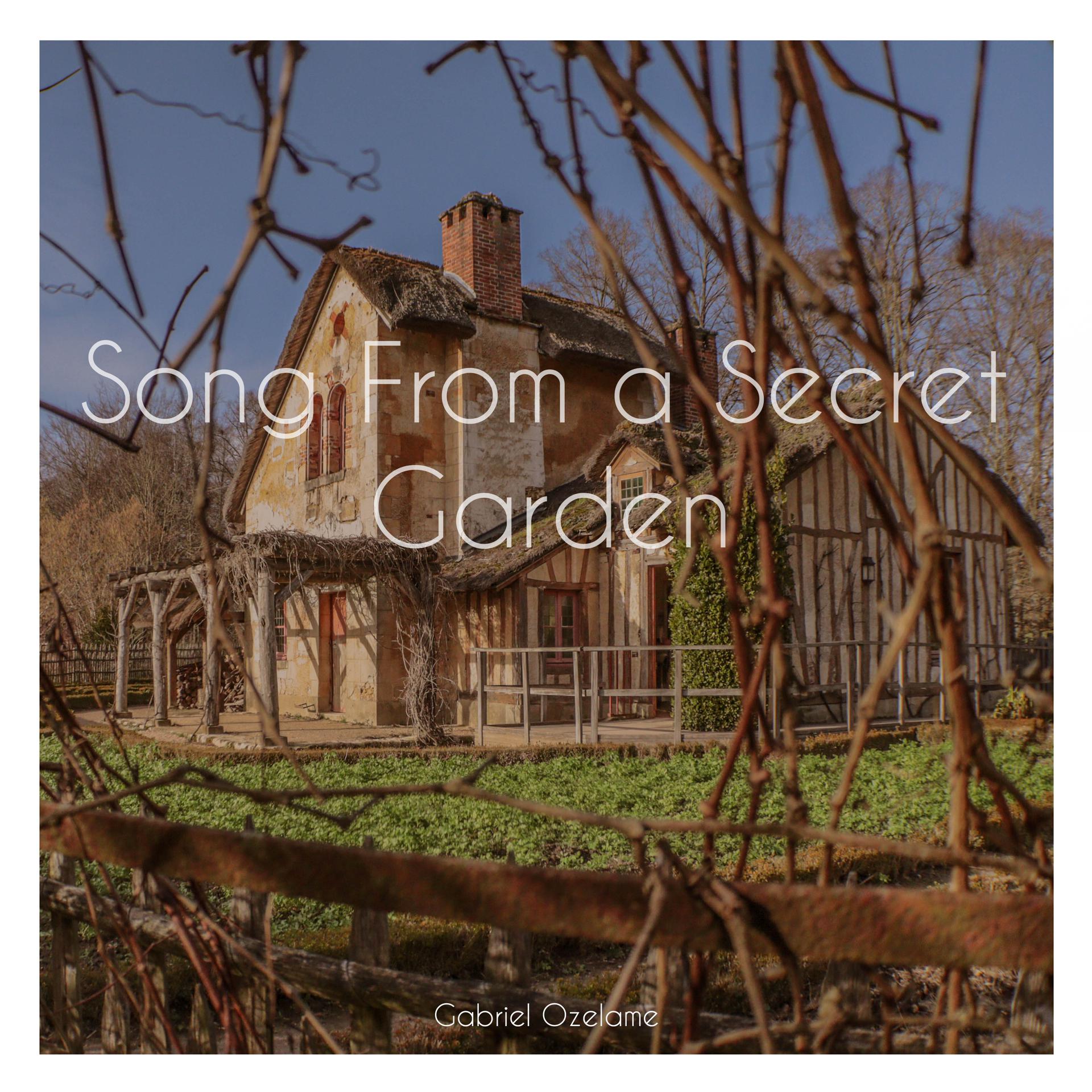 Постер альбома Song From a Secret Garden