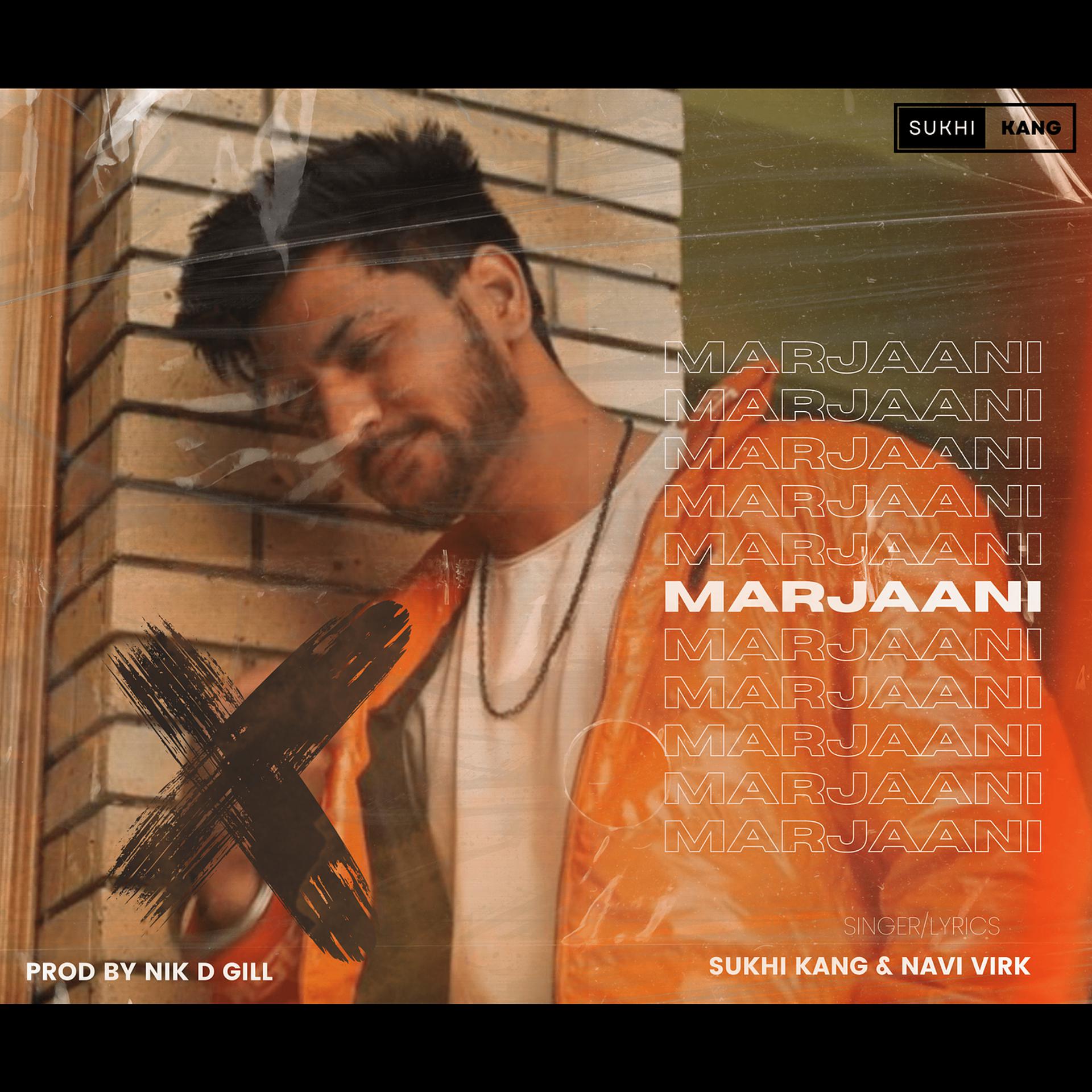 Постер альбома Marjaani