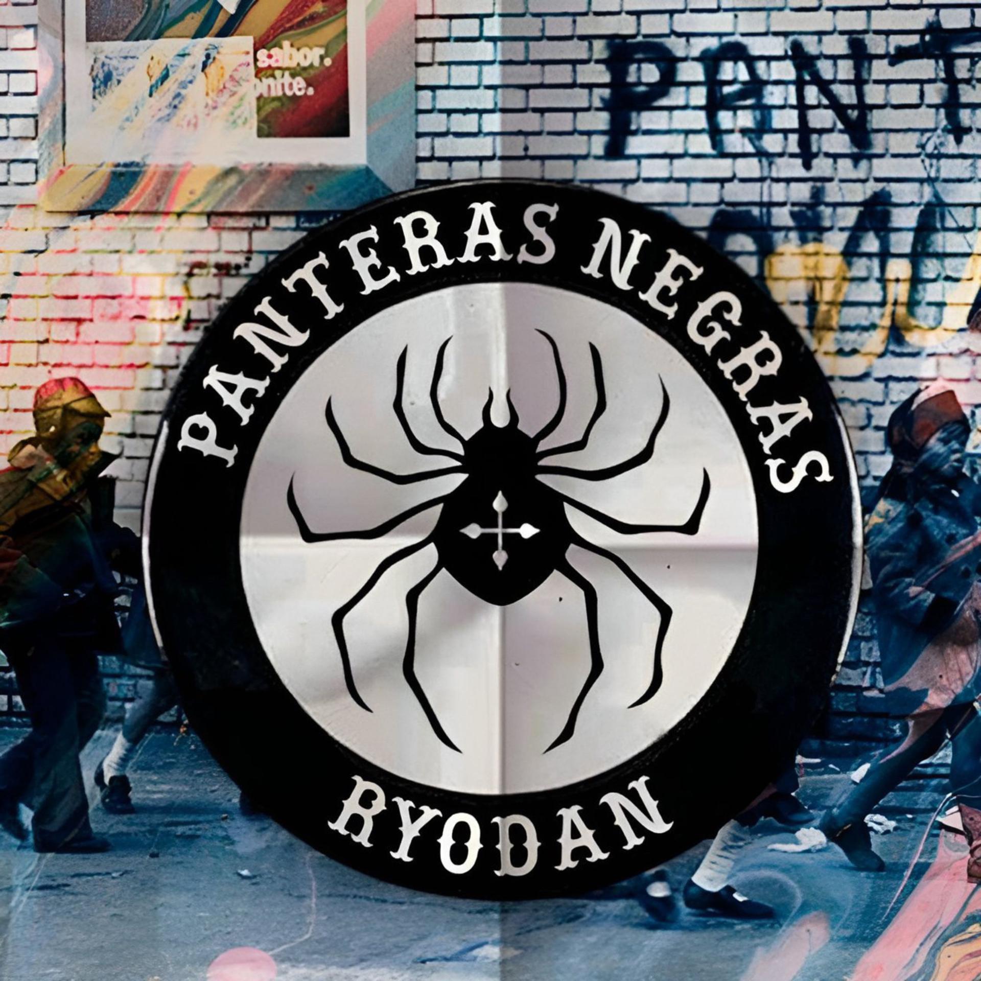 Постер альбома Panteras Negras