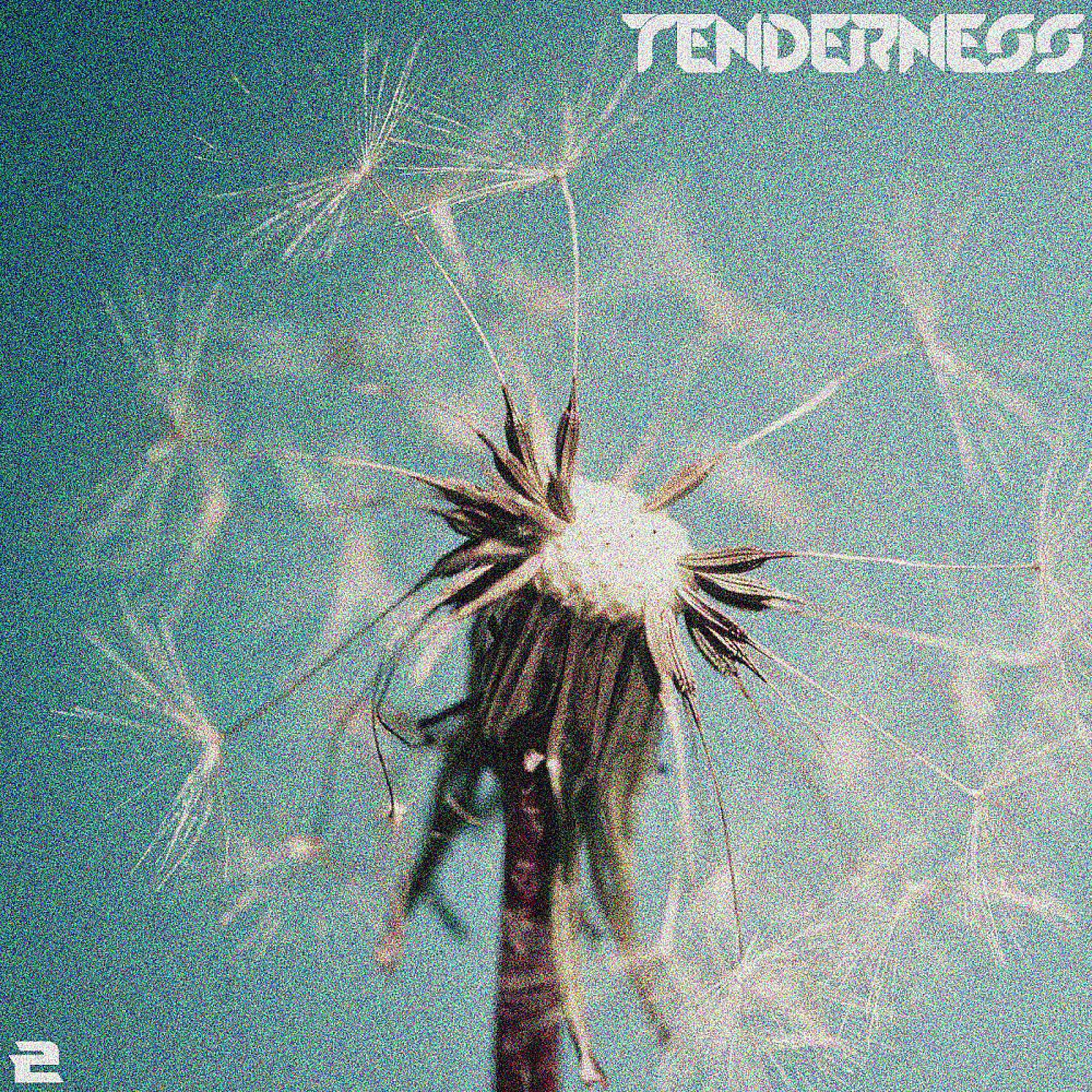 Постер альбома Tenderness, Vol. 2