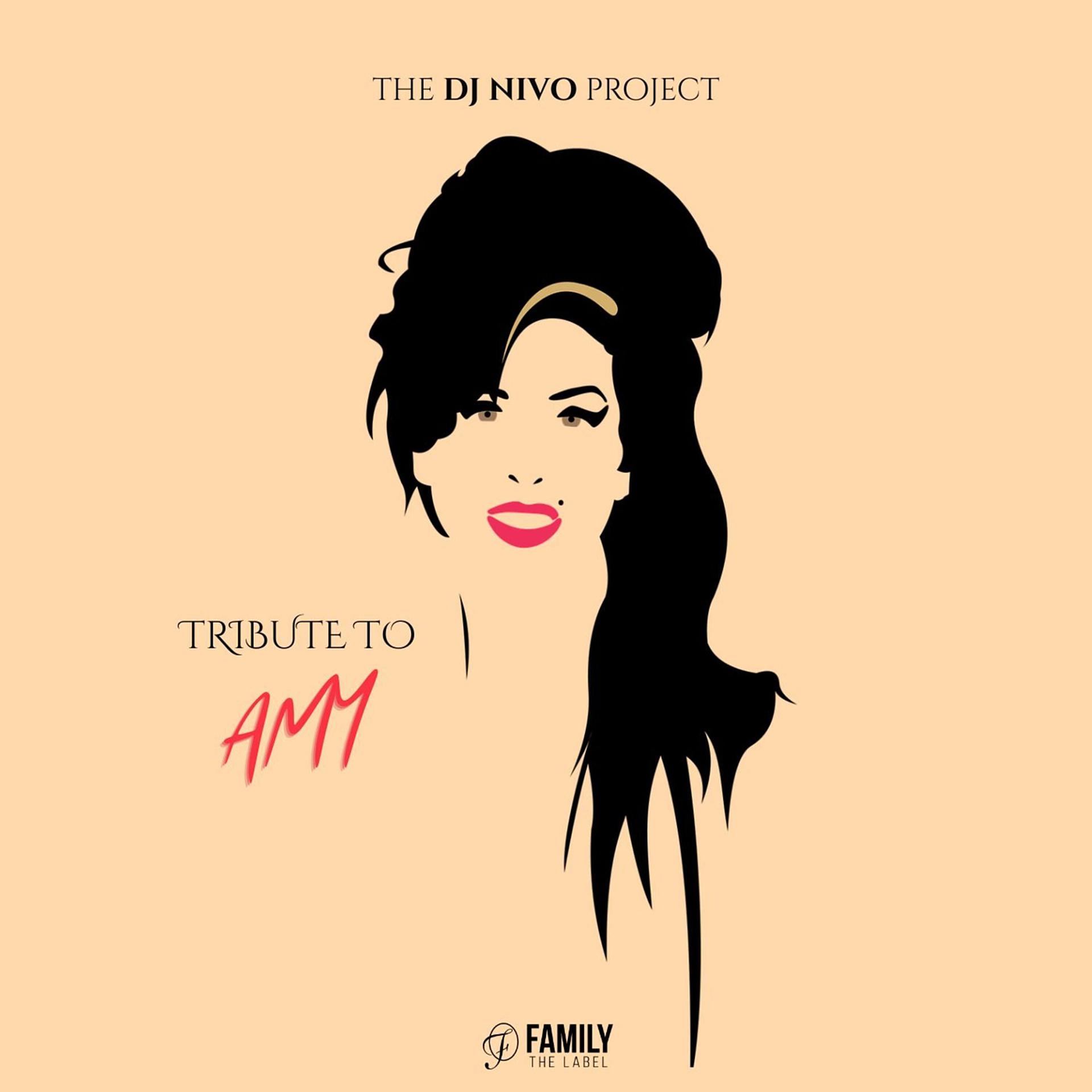 Постер альбома "the DJ Nivo Project Tribute to Amy"