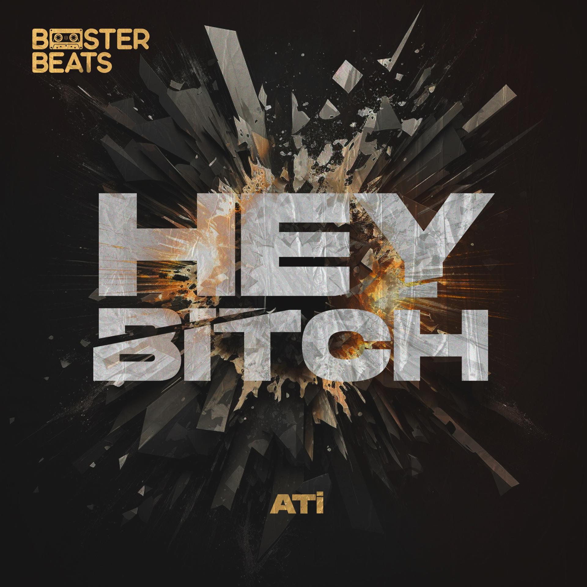 Постер альбома Hey Bitch