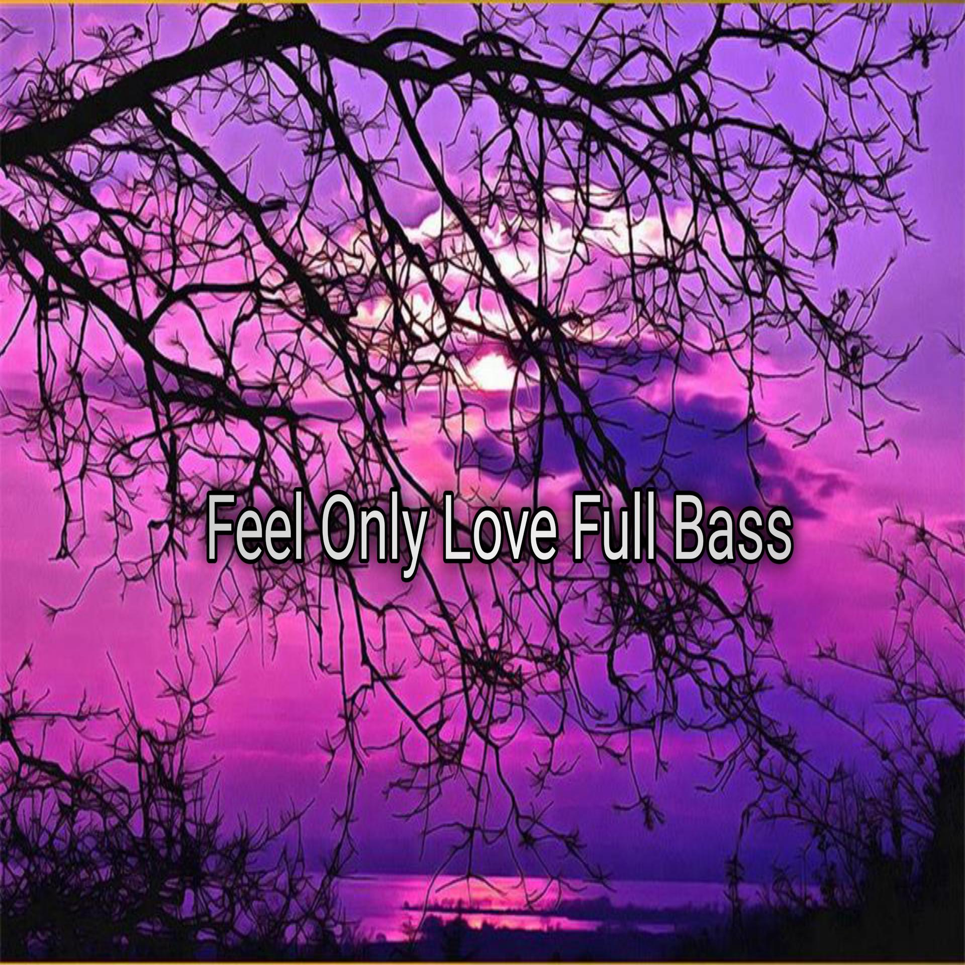Постер альбома Feel Only Love Full Bass