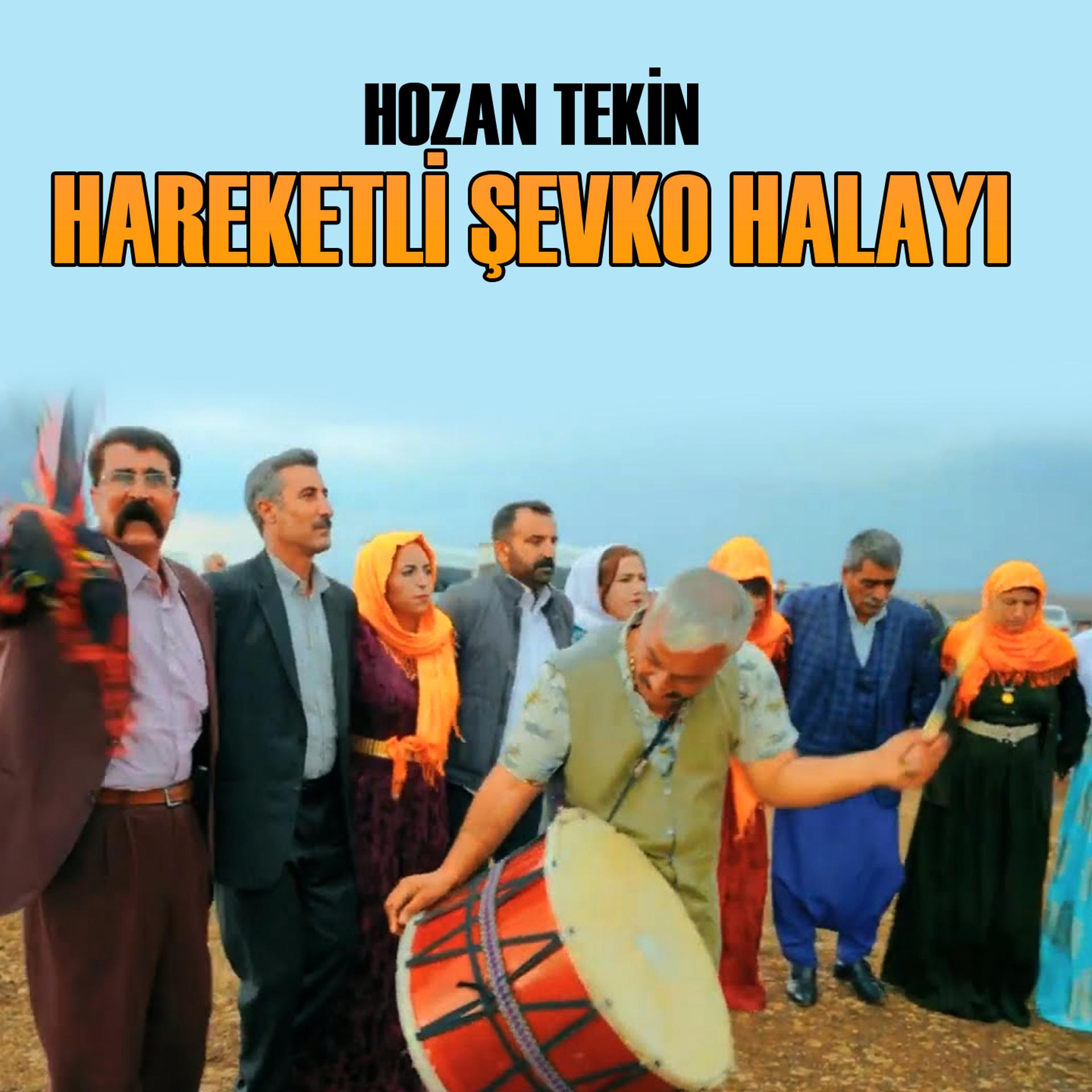 Постер альбома Hareketli Şevko Halayı