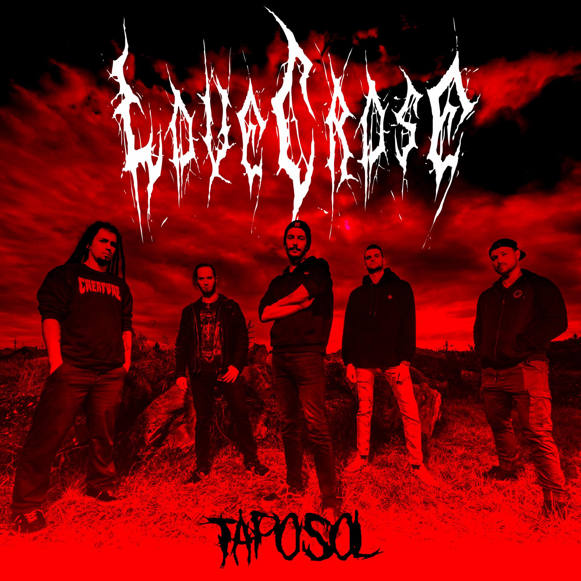 Постер альбома Taposol