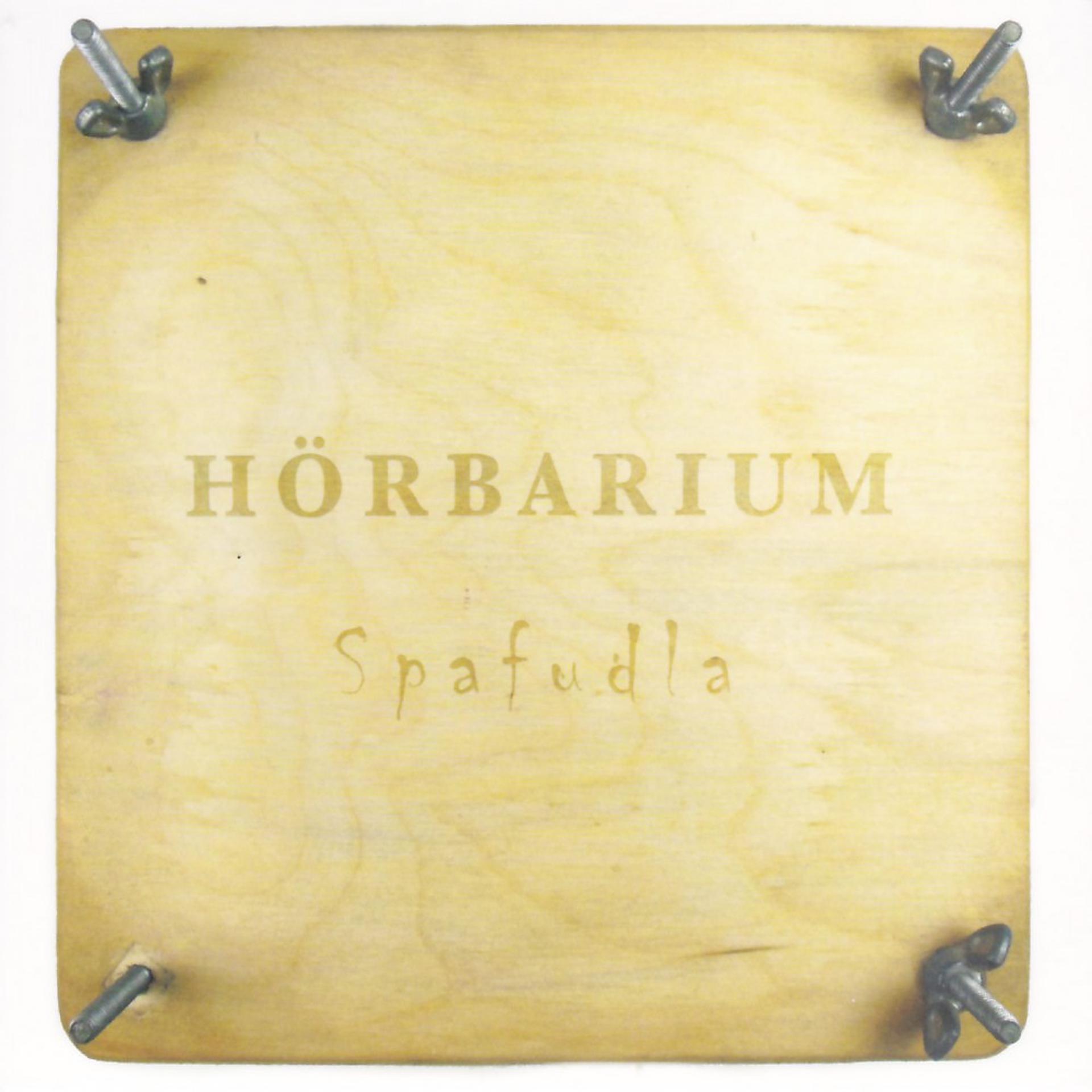 Постер альбома Hörbarium