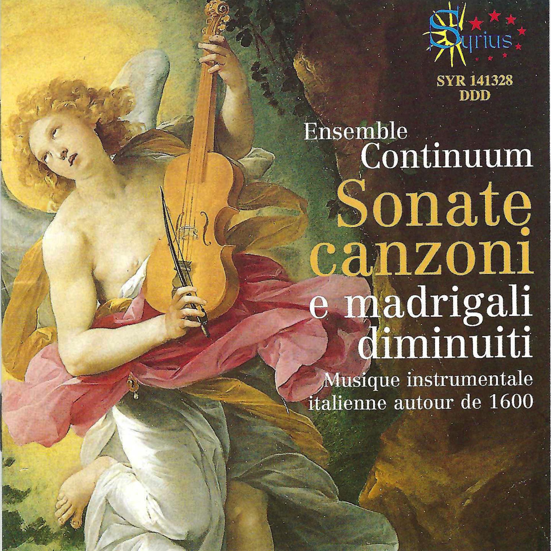 Постер альбома Sonate, canzoni e madrigali diminuiti