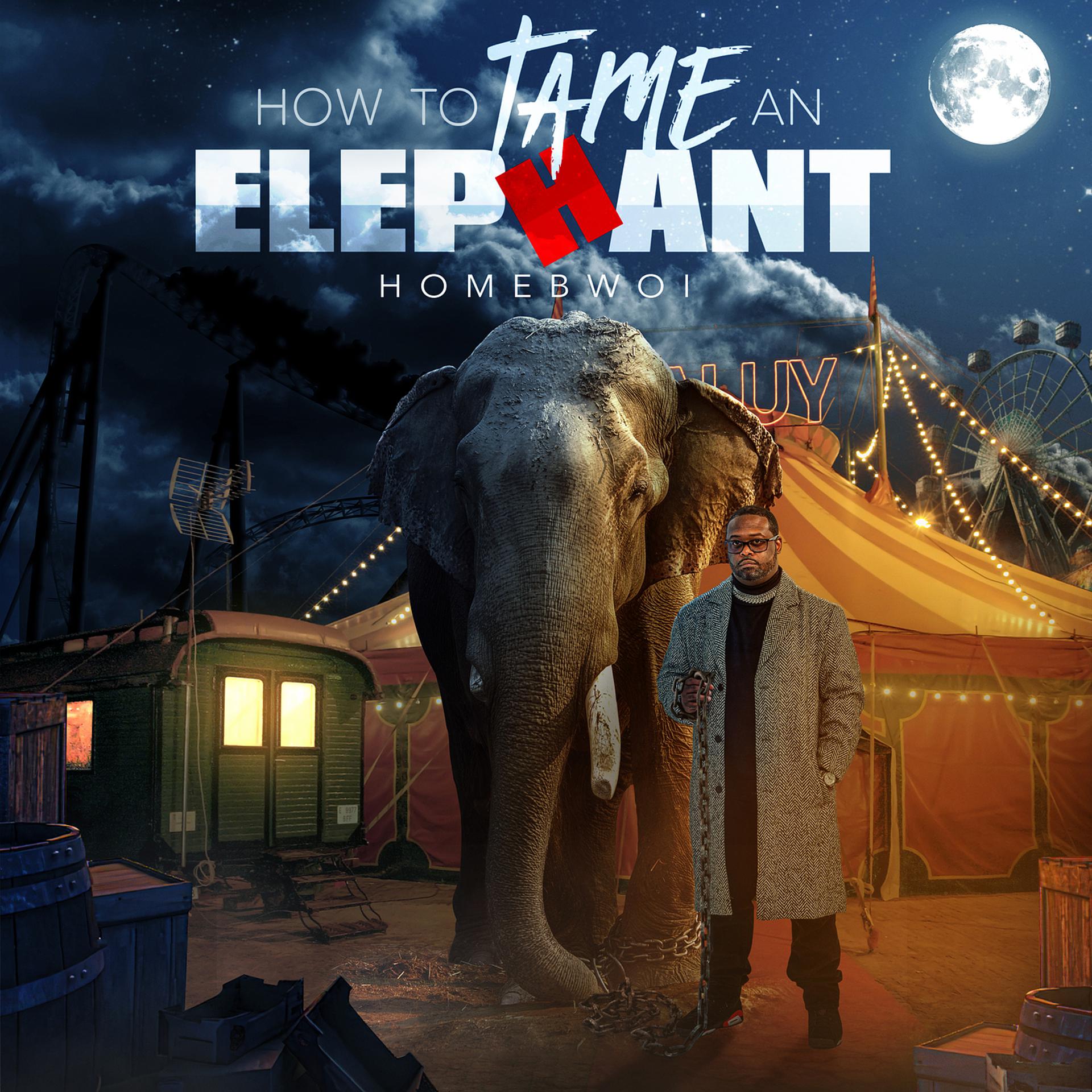 Постер альбома How to Tame an Elephant