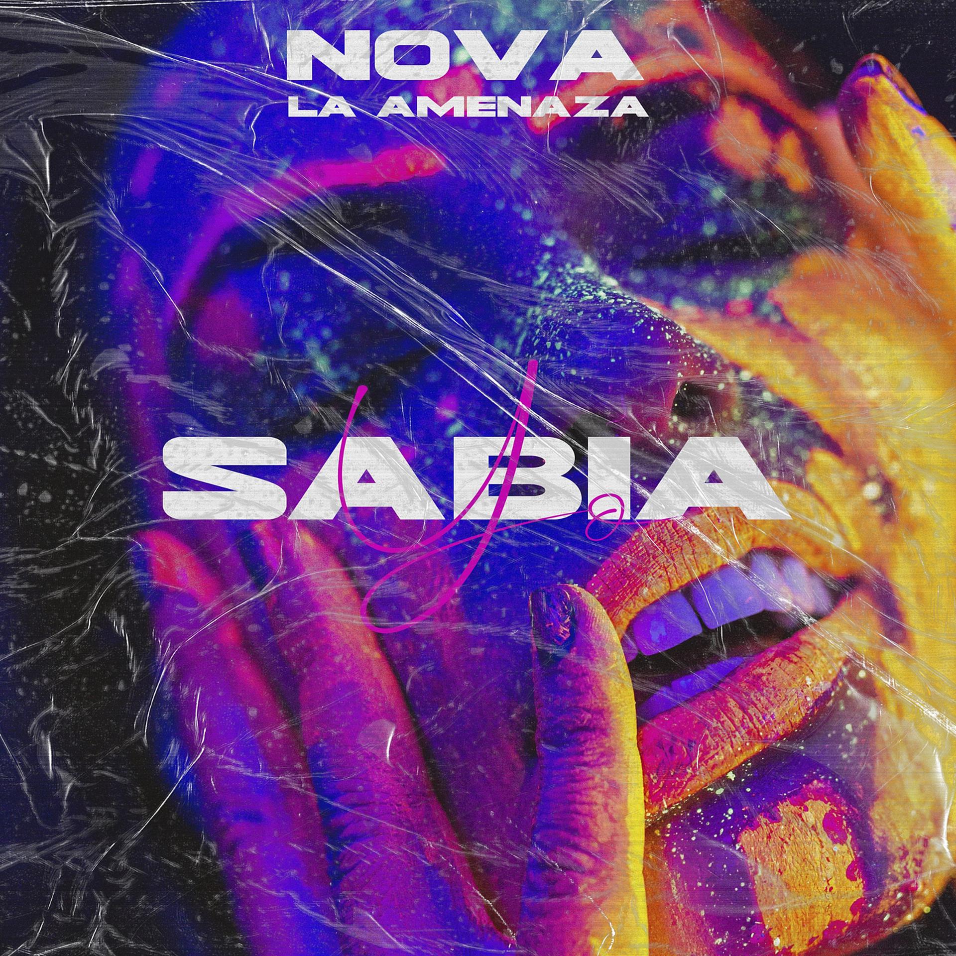 Постер альбома Yo Sabia