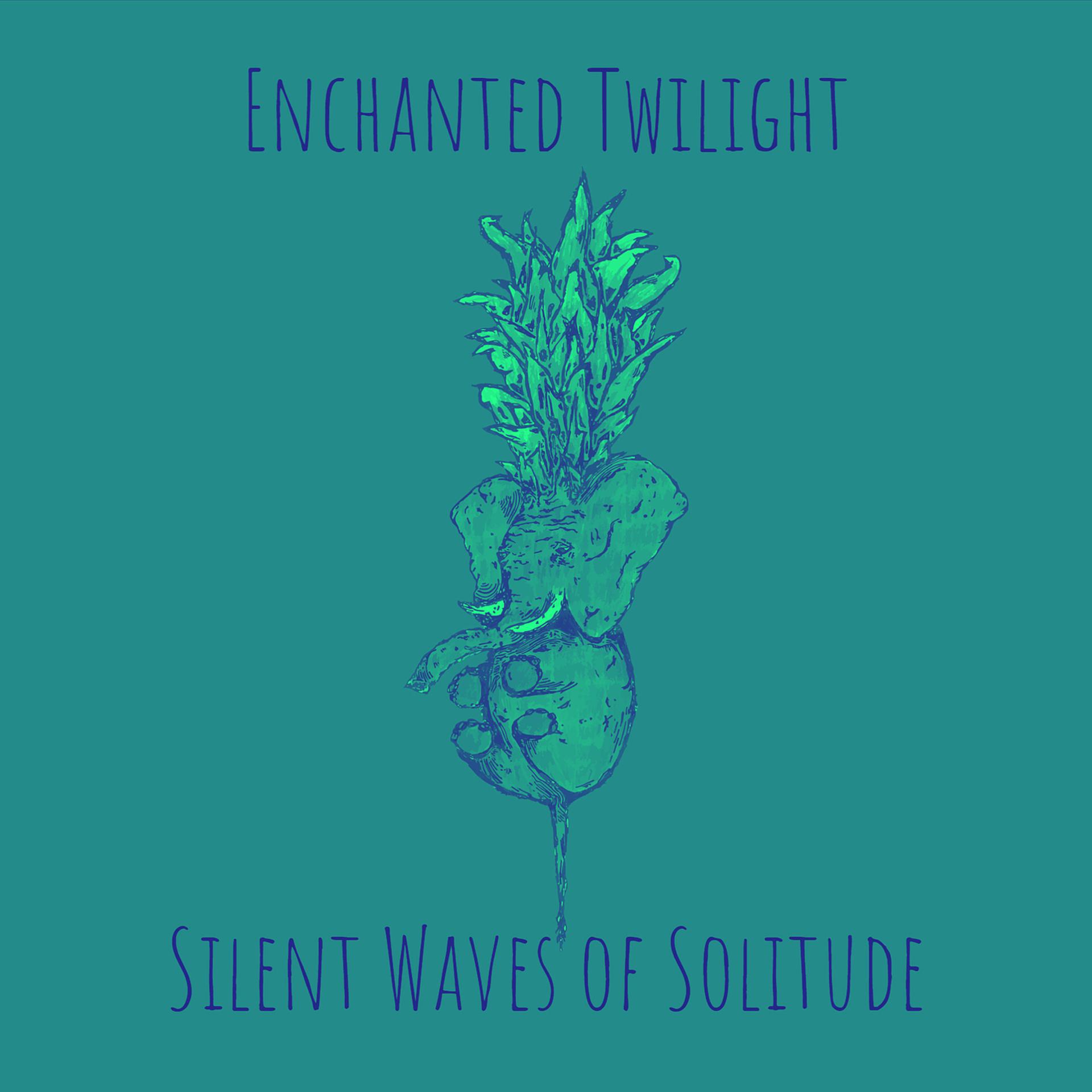 Постер альбома Enchanted Twilight
