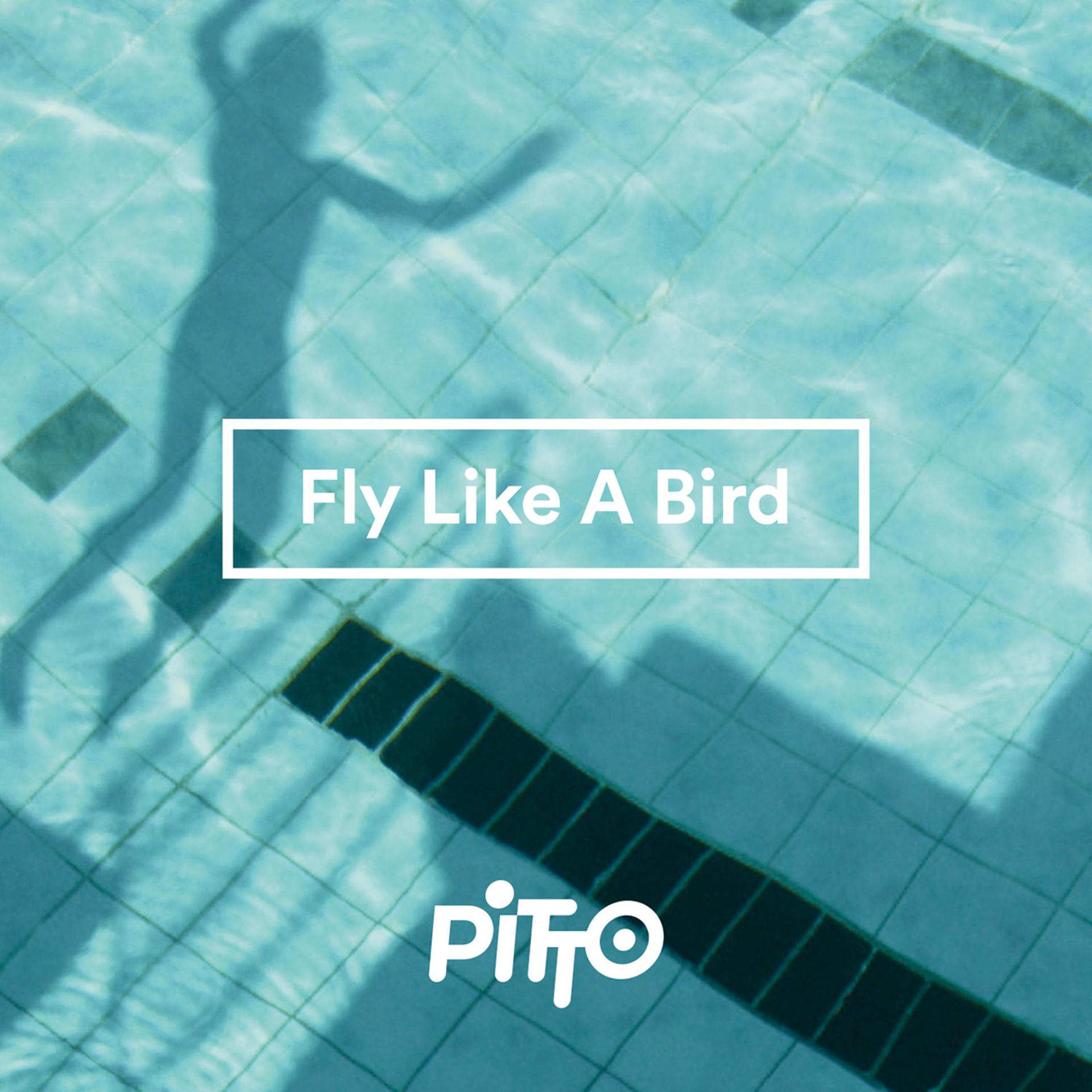 Постер альбома Fly Like A Bird