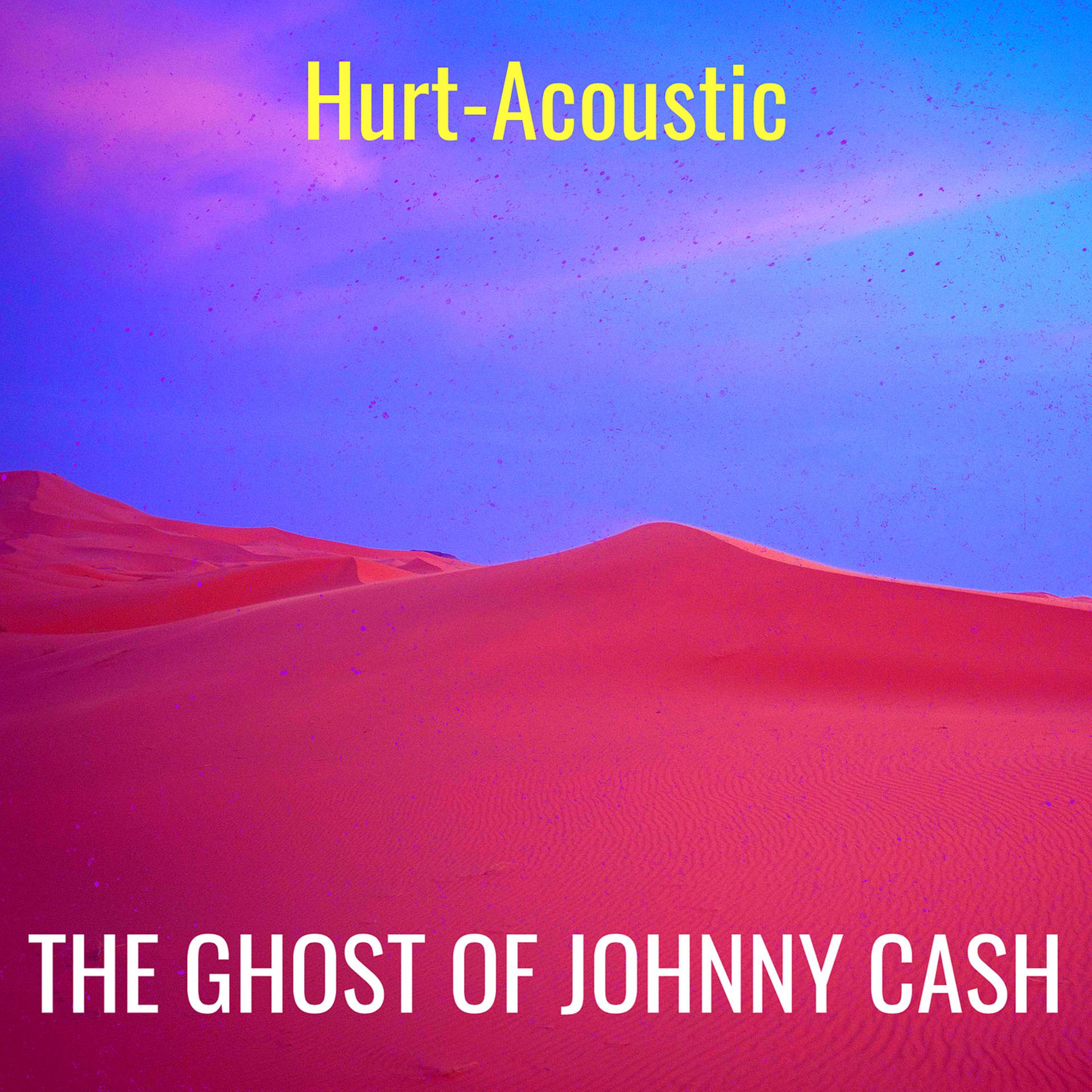 Постер альбома Hurt (Acoustic)