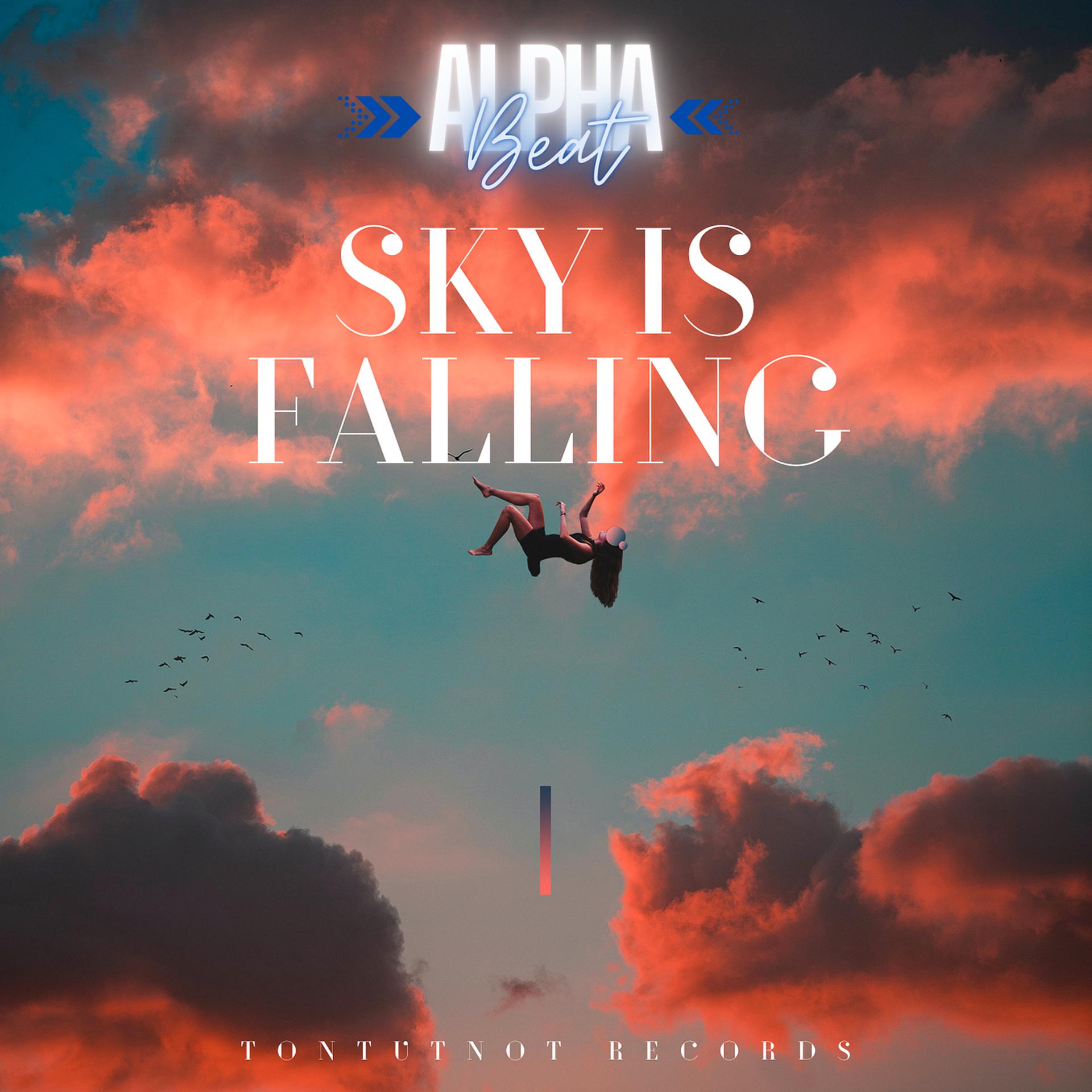 Постер альбома Sky Is Fallin