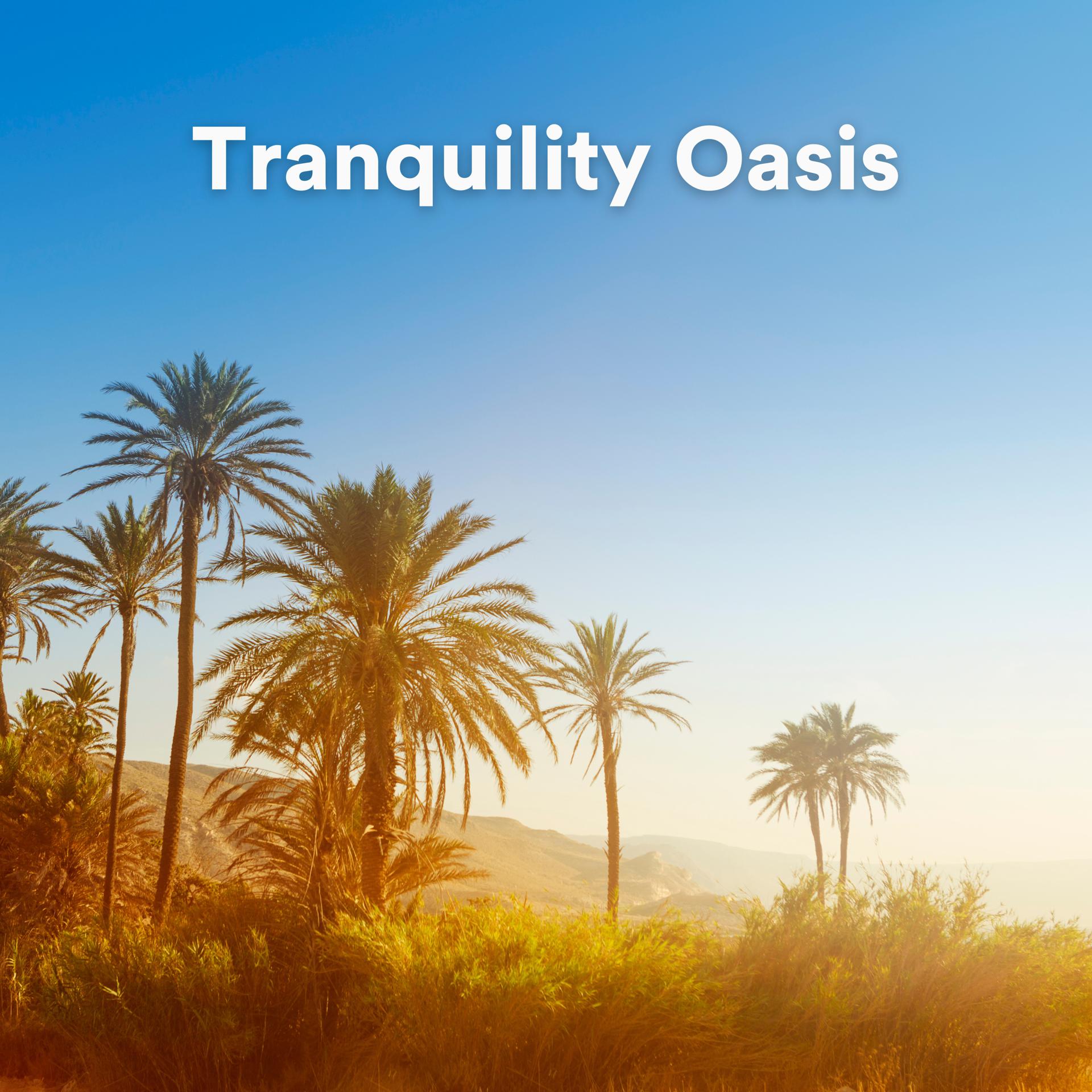 Постер альбома Tranquility Oasis