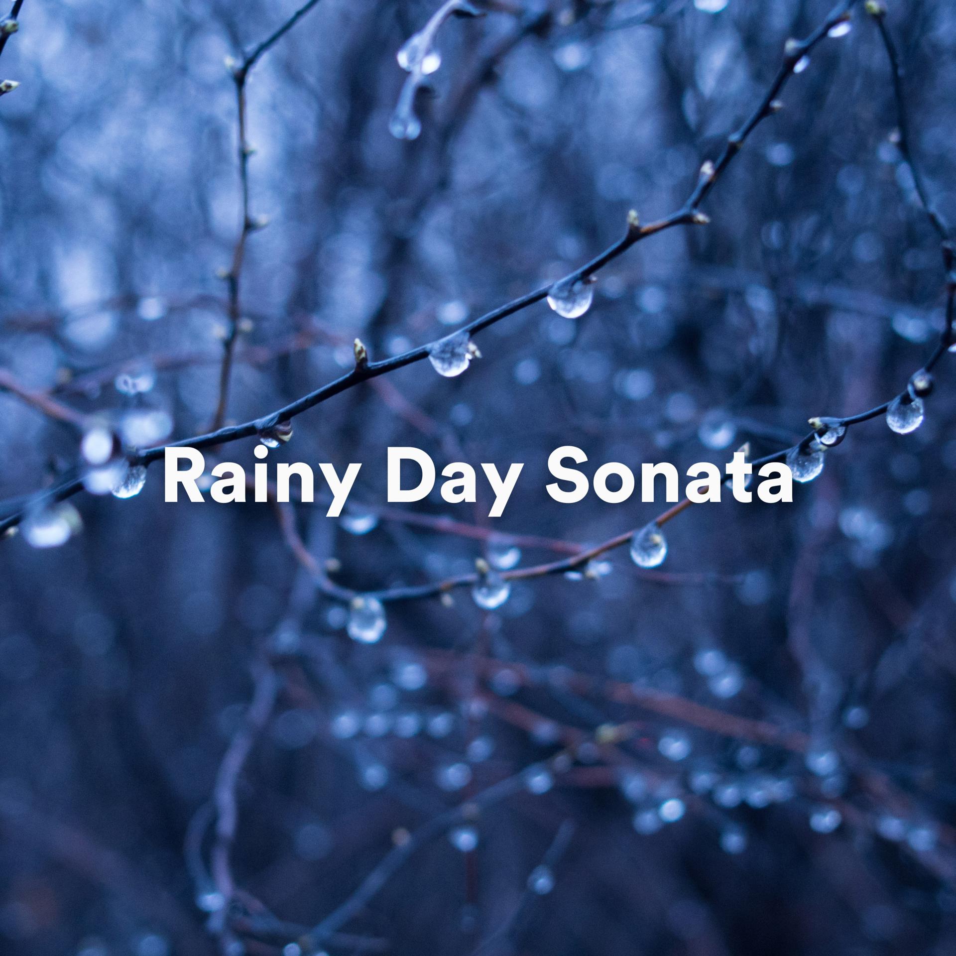 Постер альбома Rainy Day Sonata