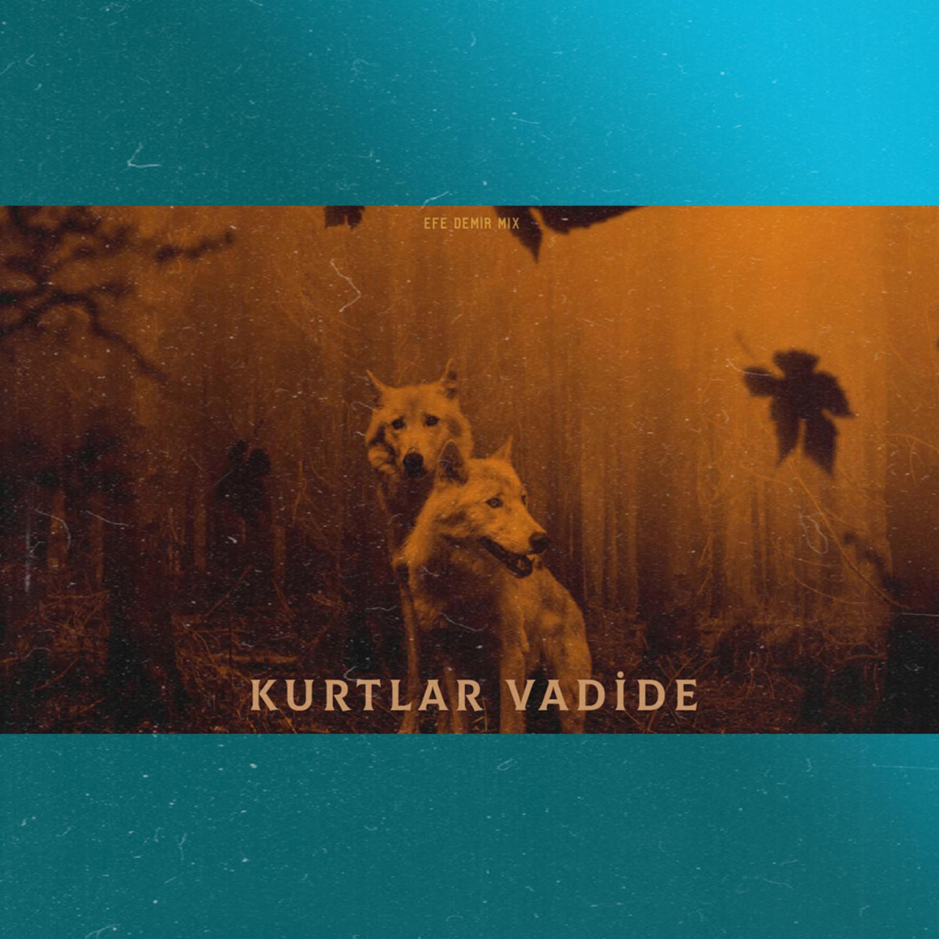 Постер альбома Kurtlar Vadide